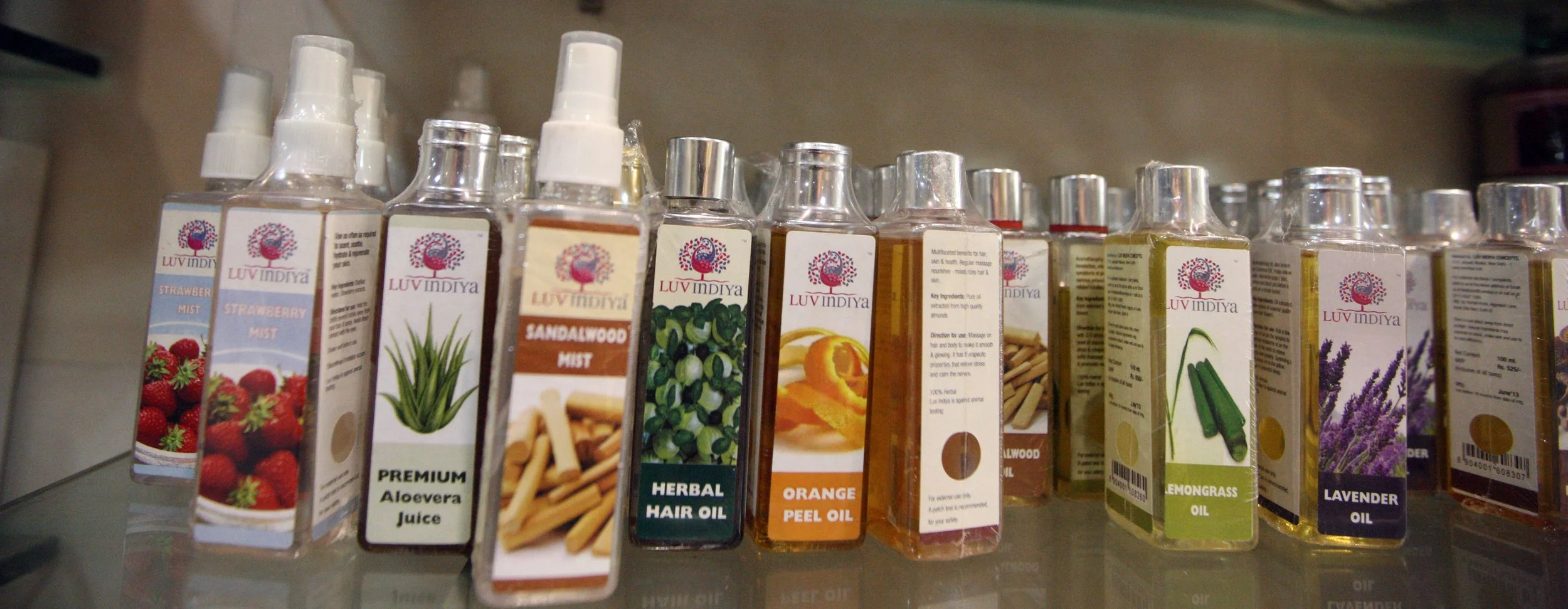 OLD DELHI INDIA - SNOW LEOPARD TRIP 2014 (6).JPG