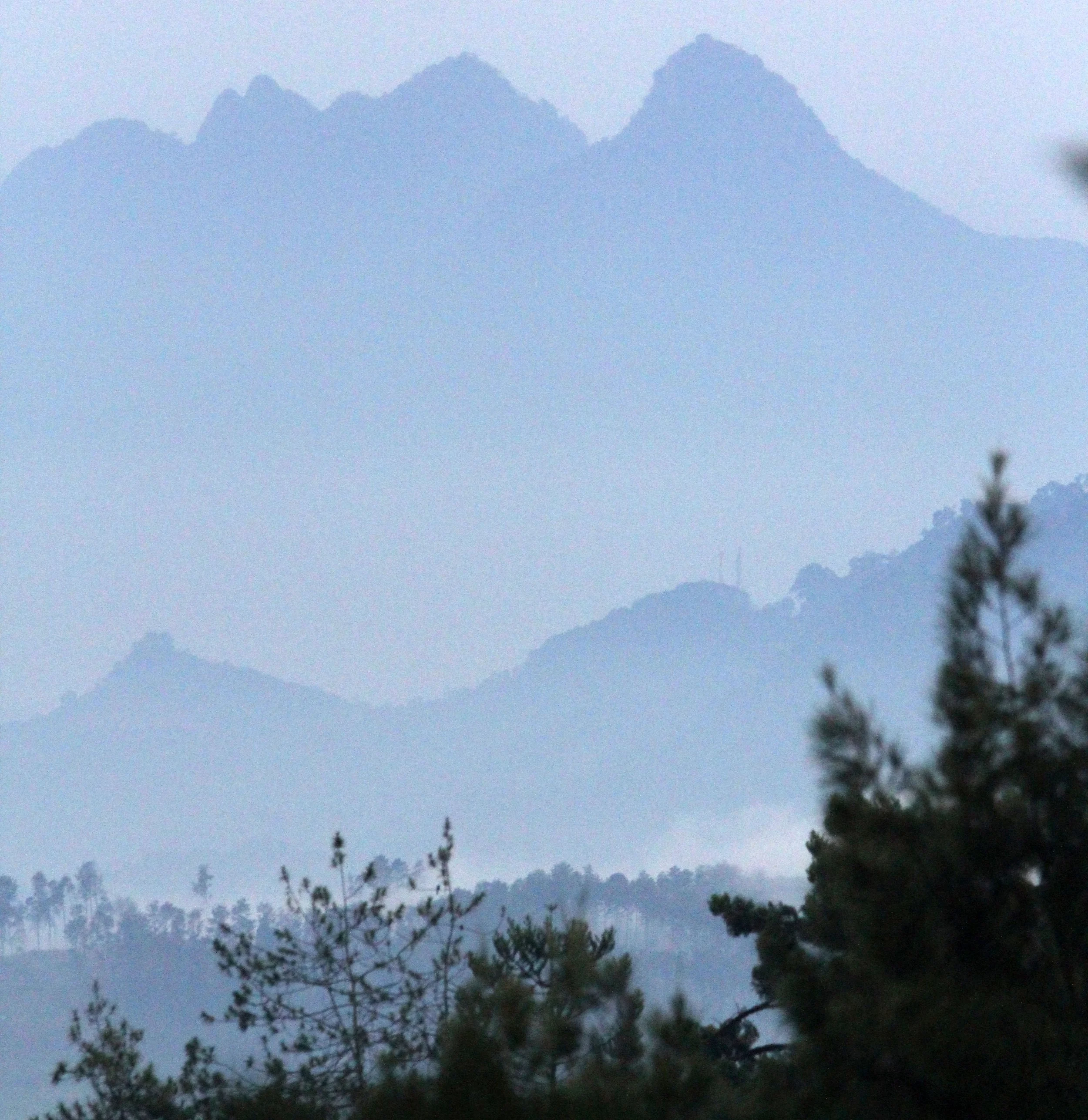 BOGOR - GEDE NATIONAL PARK JAVA BARAT INDONESIA (3).JPG