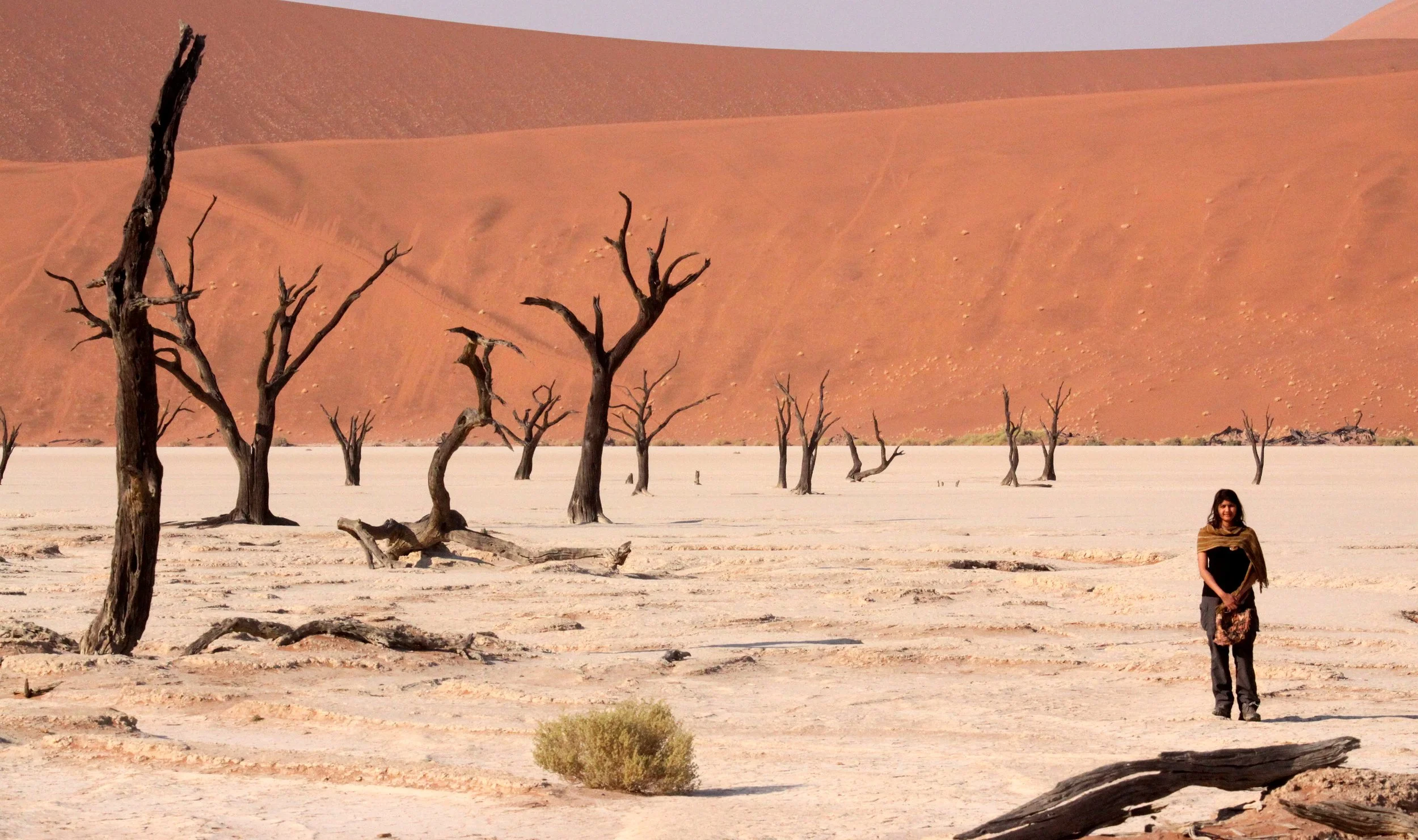 SOSSUSVLEI, NAMIB NAUKLUFT NATIONAL PARK, NAMIBIA - DEAD VLEI (75).JPG