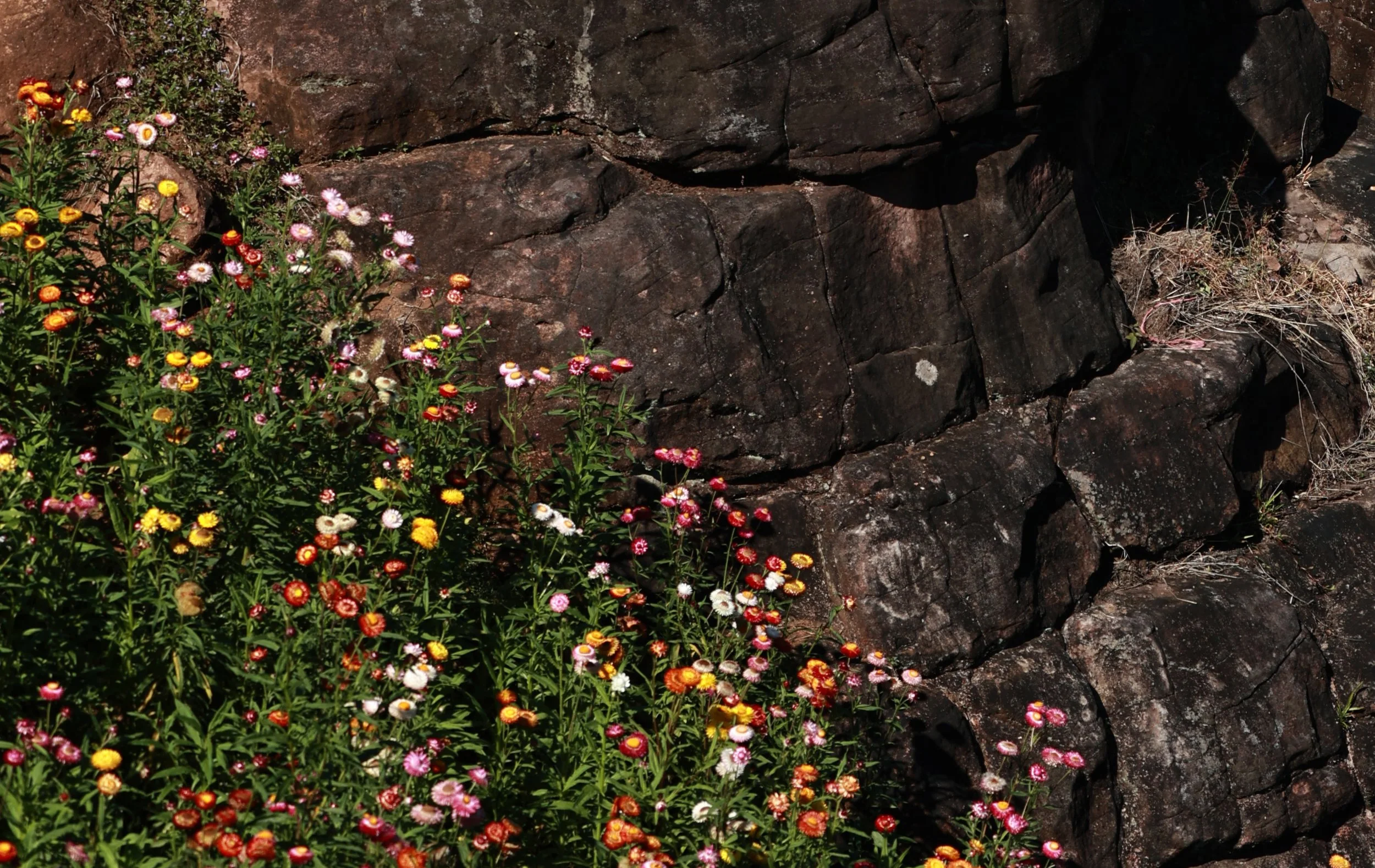 Phu Hin Rong Kla National Park Loei Province (3).jpg