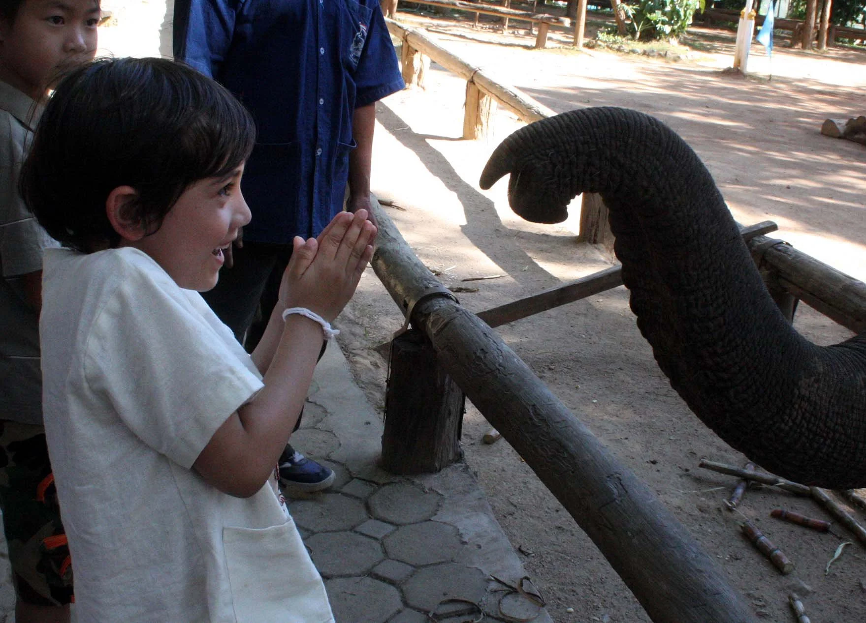 2008 Lampang City & Elephant Center (114).JPG
