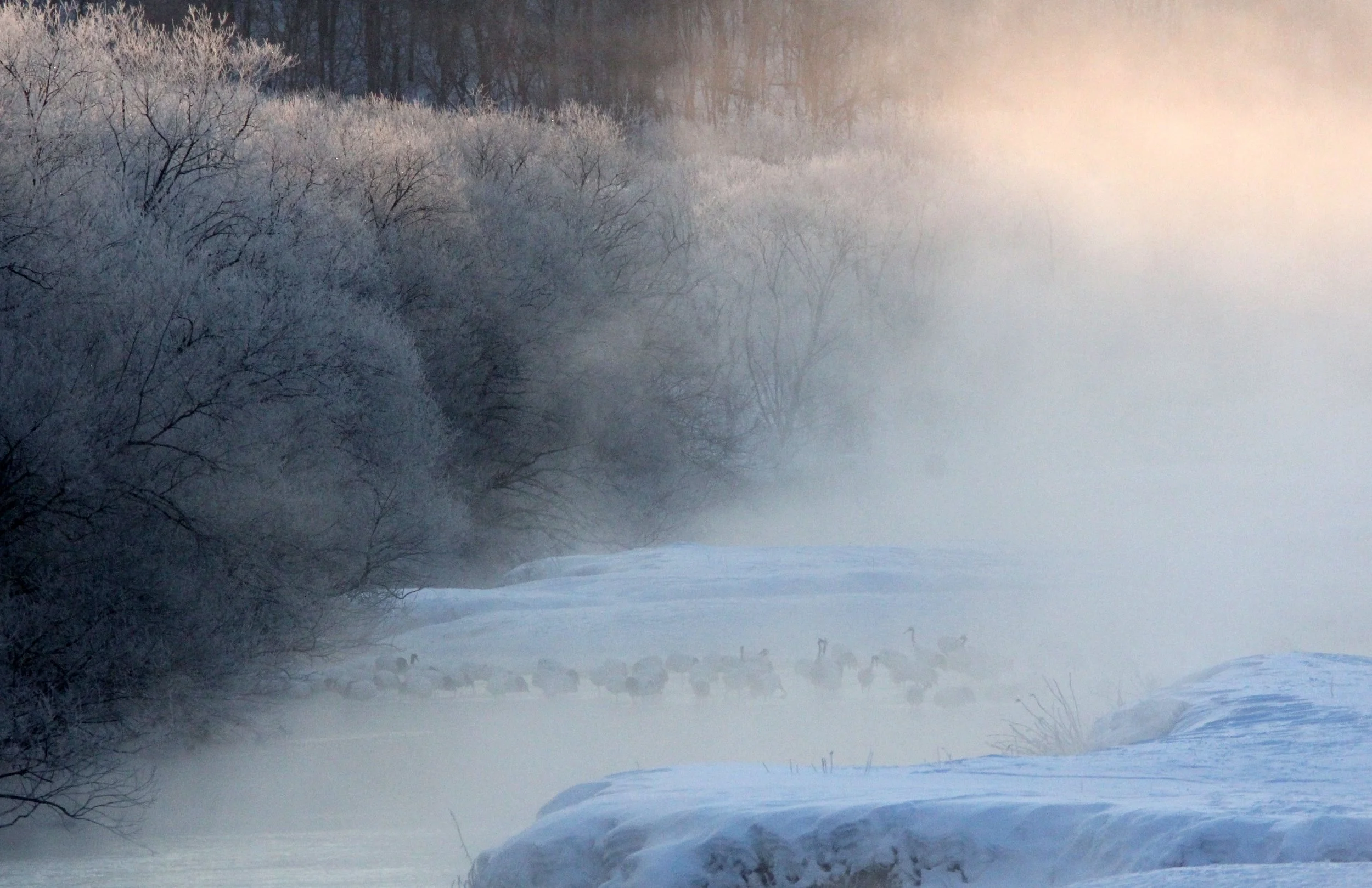 OTOWABASHI SETSUGAWA - TSURUI TOWN - HOKKAIDO JAPAN (28).JPG