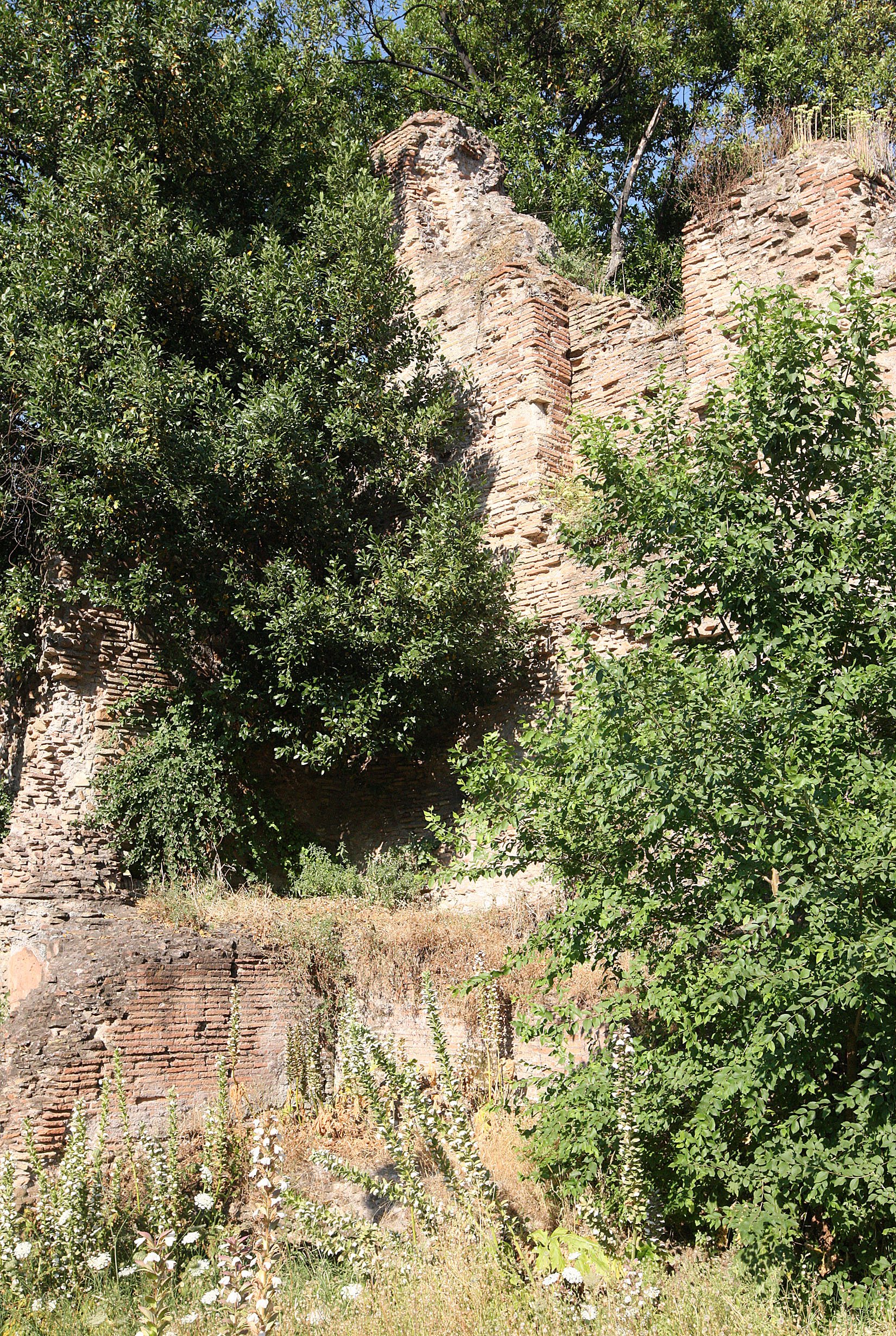 ROME ITALY - SUMMER JUNE 2013 (35).JPG