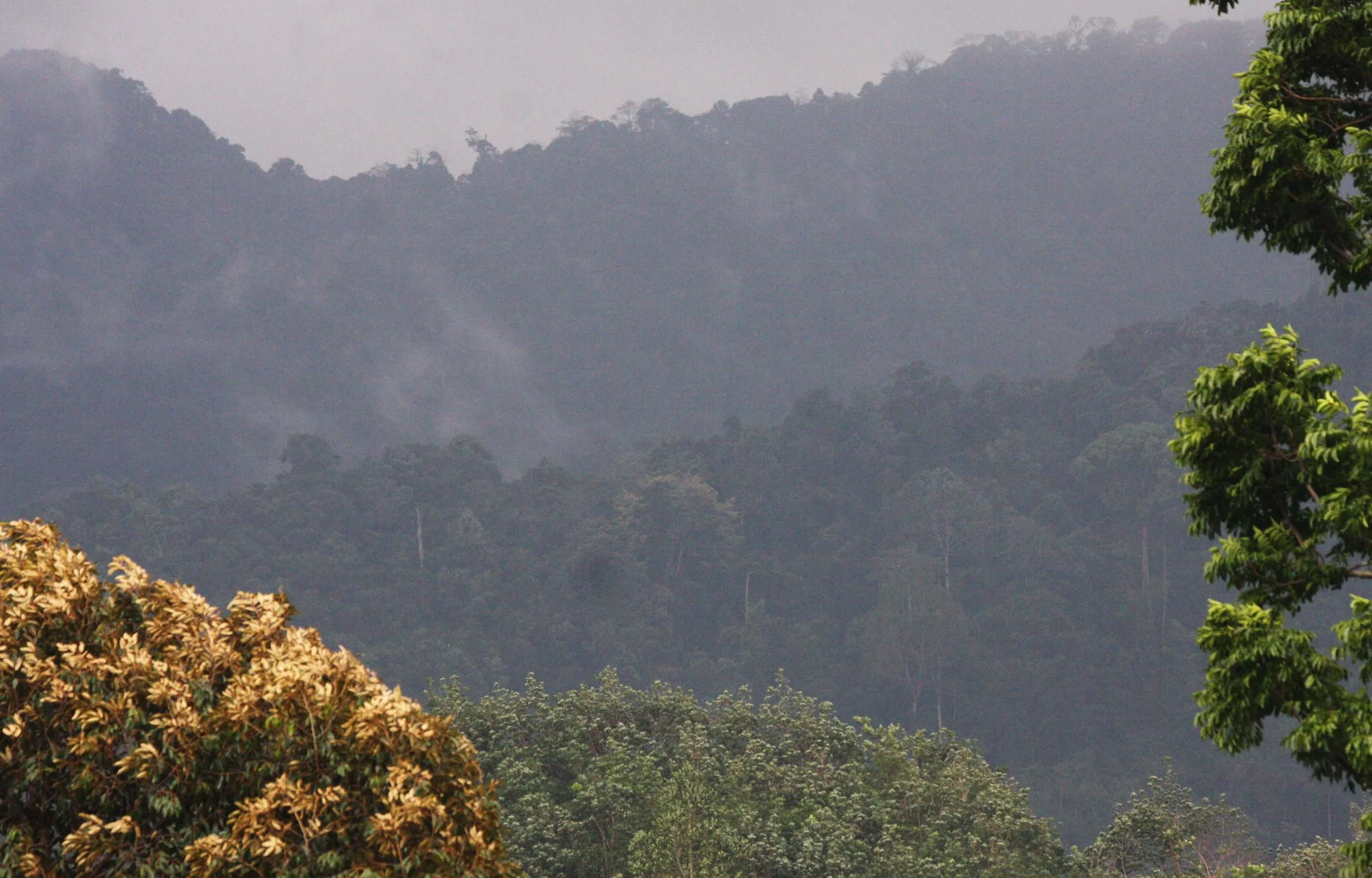 2009 Promluk Property Views (7).JPG