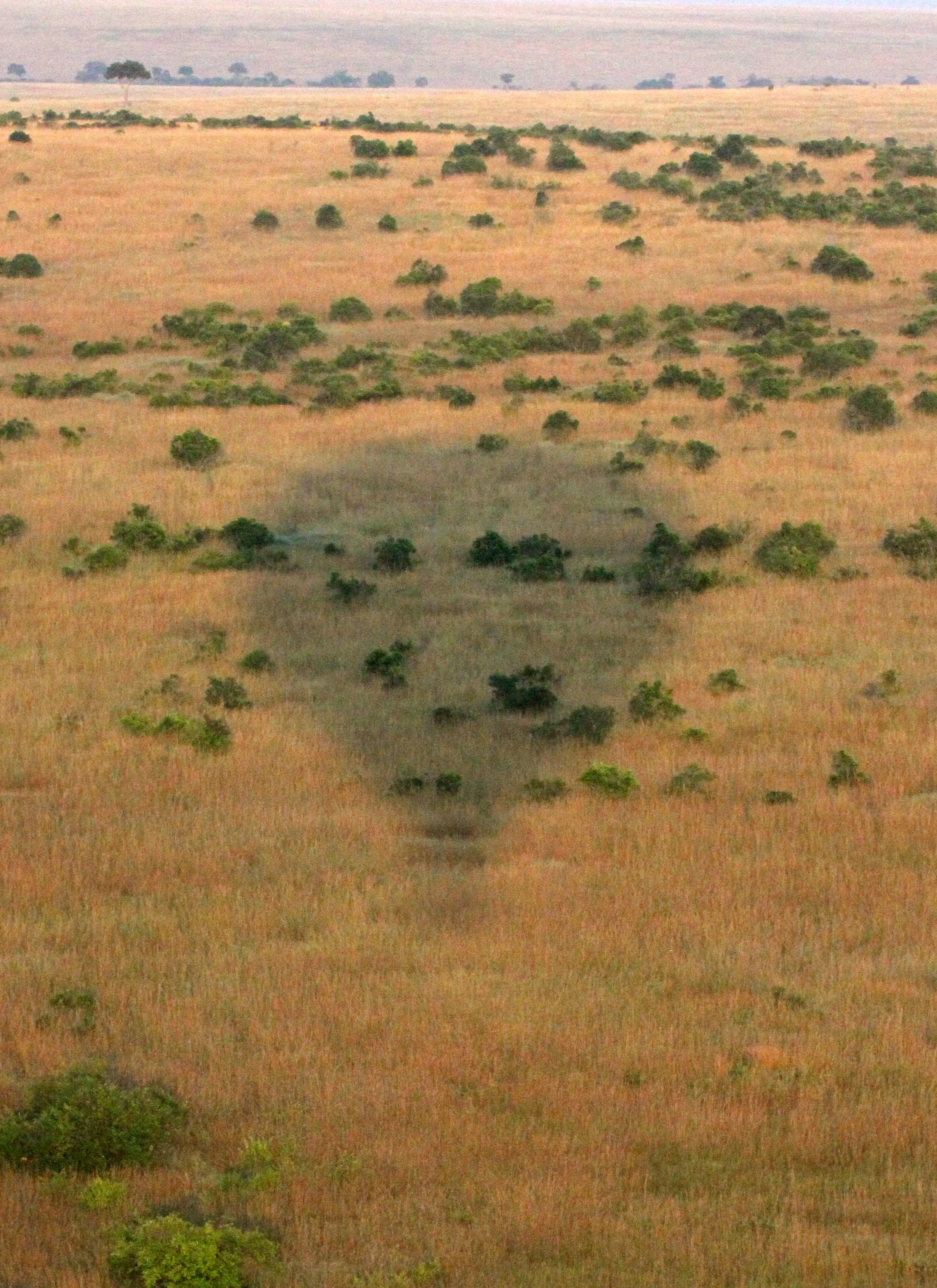 MASAI MARA NATIONAL PARK KENYA (210).JPG