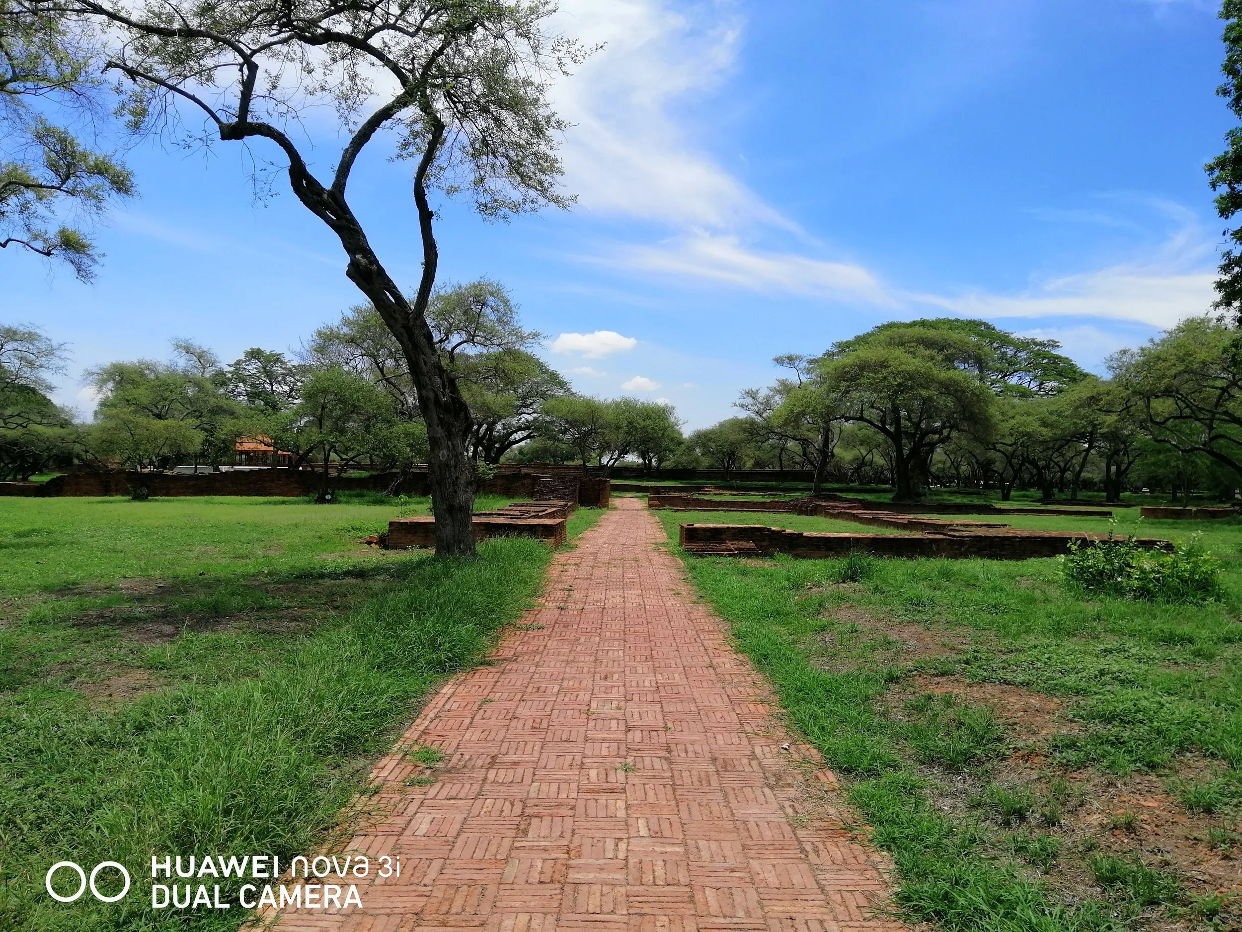 2020 Ayutthaya Summer Trip to Northern Thailand (98).jpg