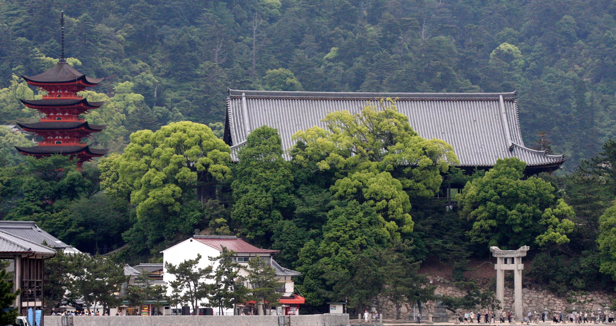 MIYAJIMA - MAY 2009 - SCENES AND LANDSCAPES (34).JPG