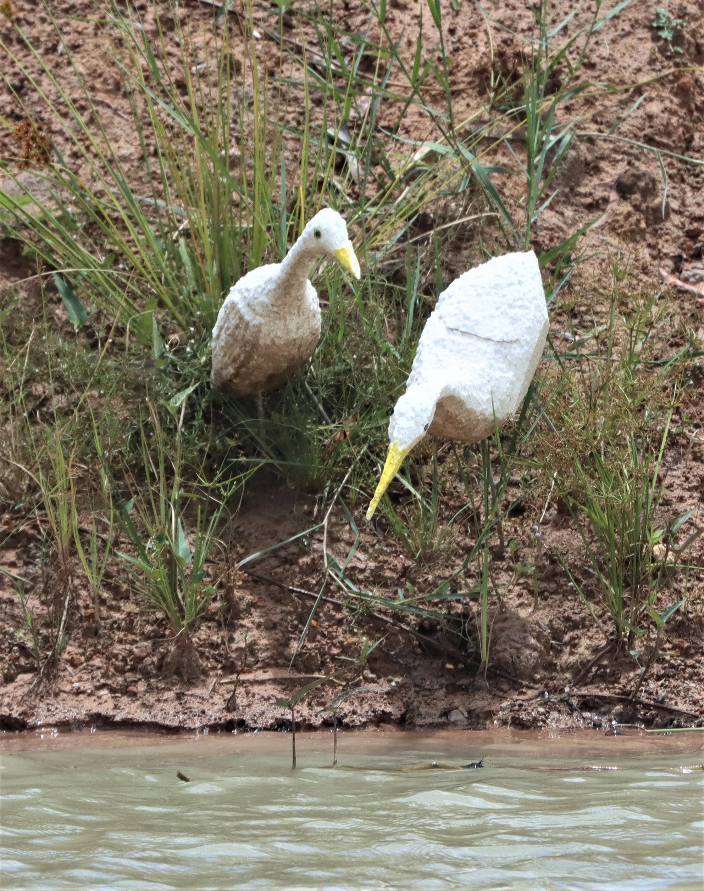 SANAMBIN WETLANDS BURIRAM.jpg