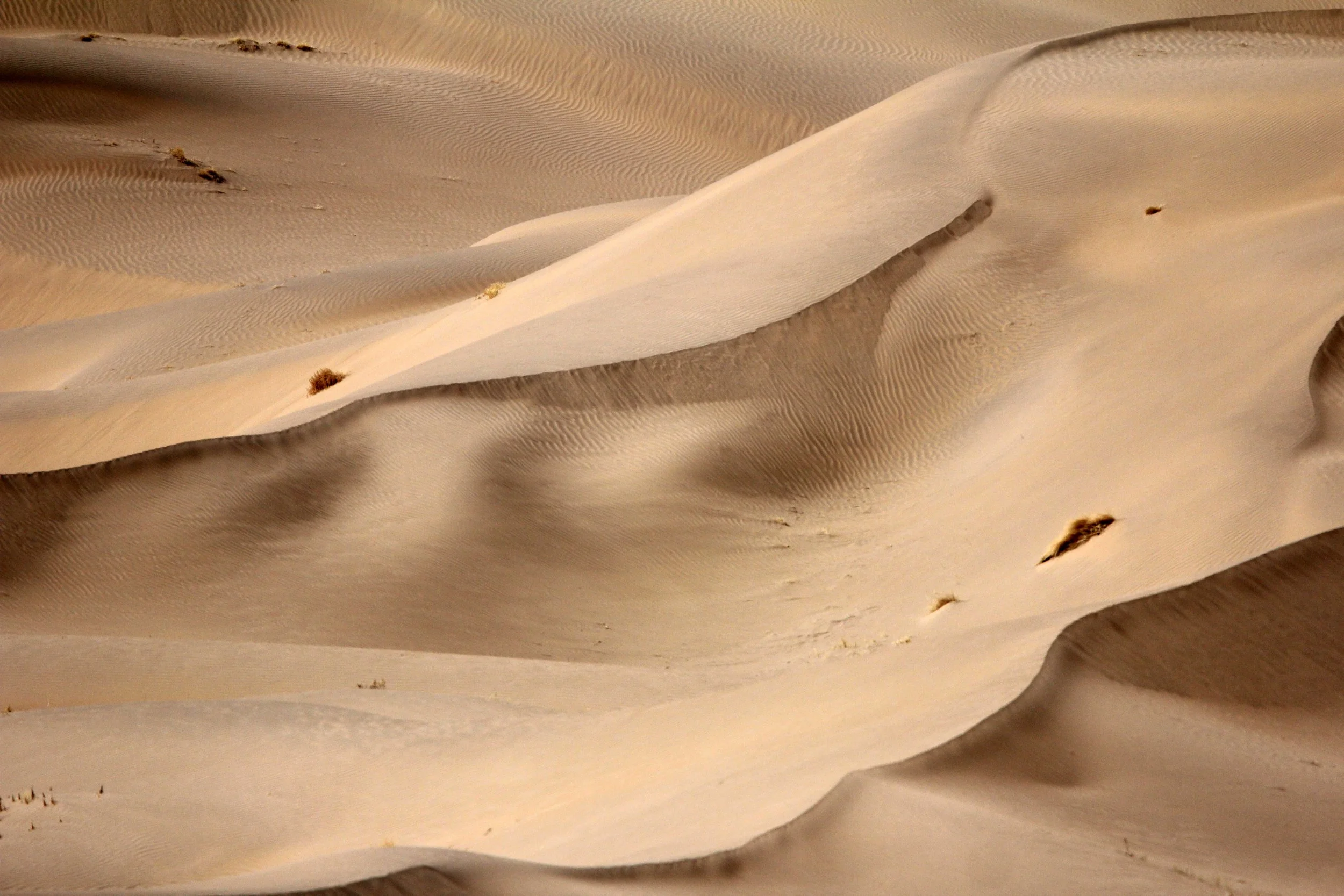 GANSU - DUNES SOUTH OF DUNHUANG - CHINA (17).JPG