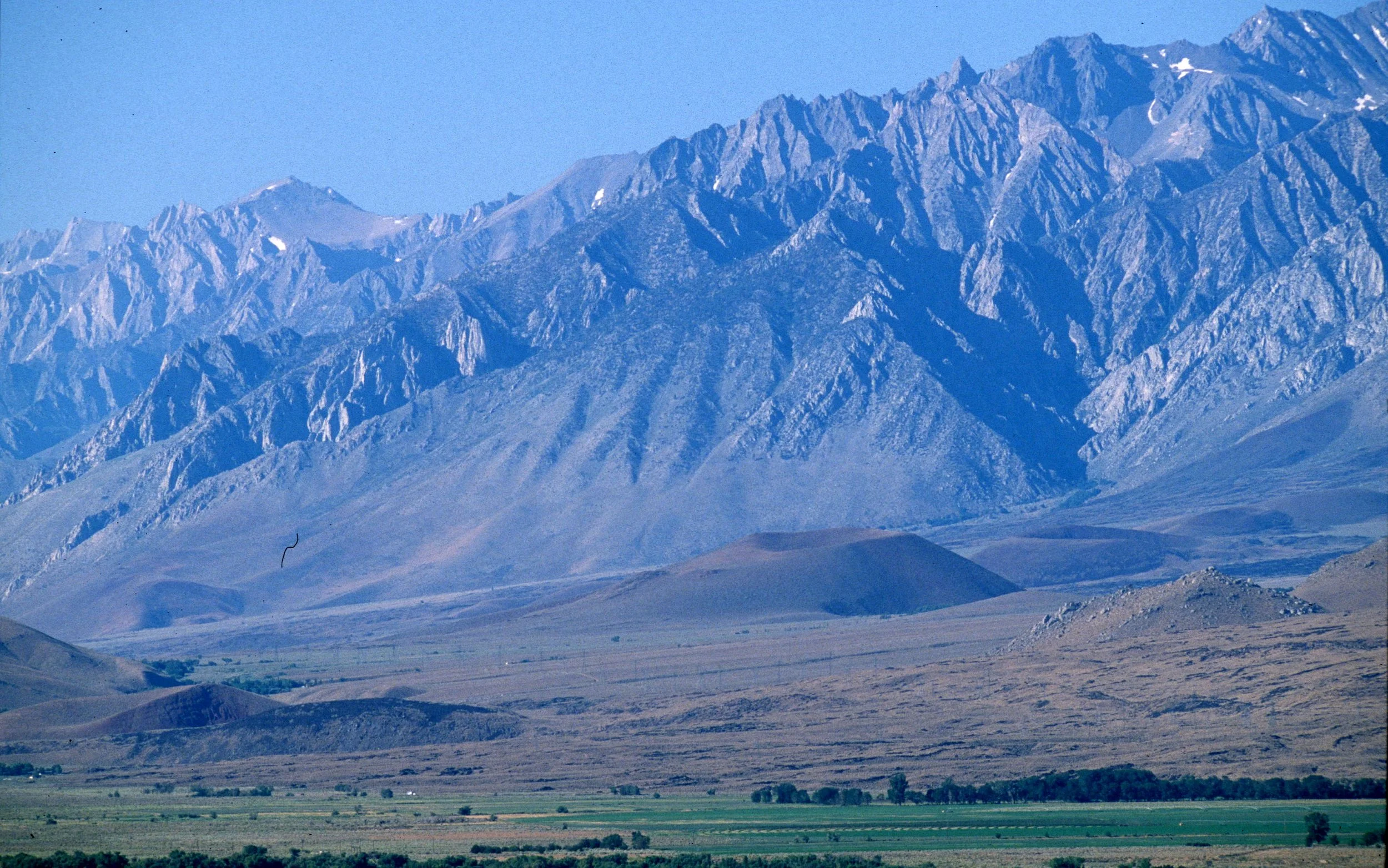 CALIFORNIA - SIERRA - EAST SIDE WITH ELK (2).jpg