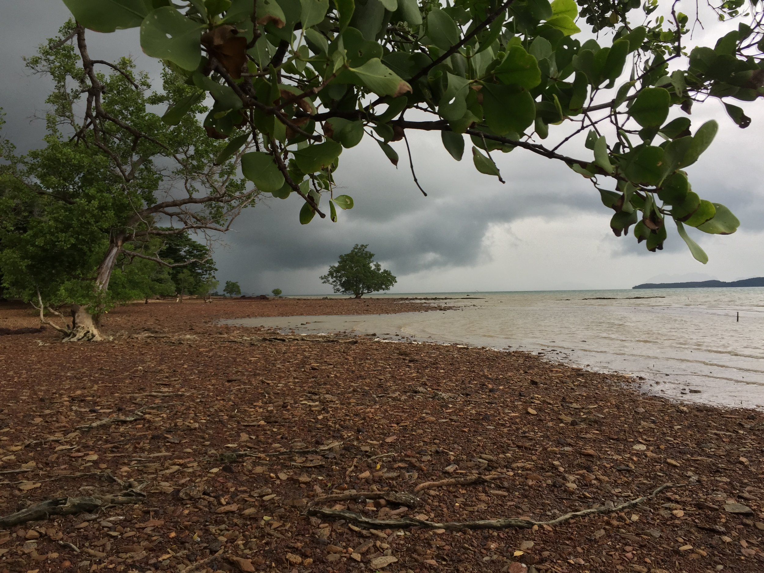 2015 Koh Lanta Garden & Nature (220).JPG