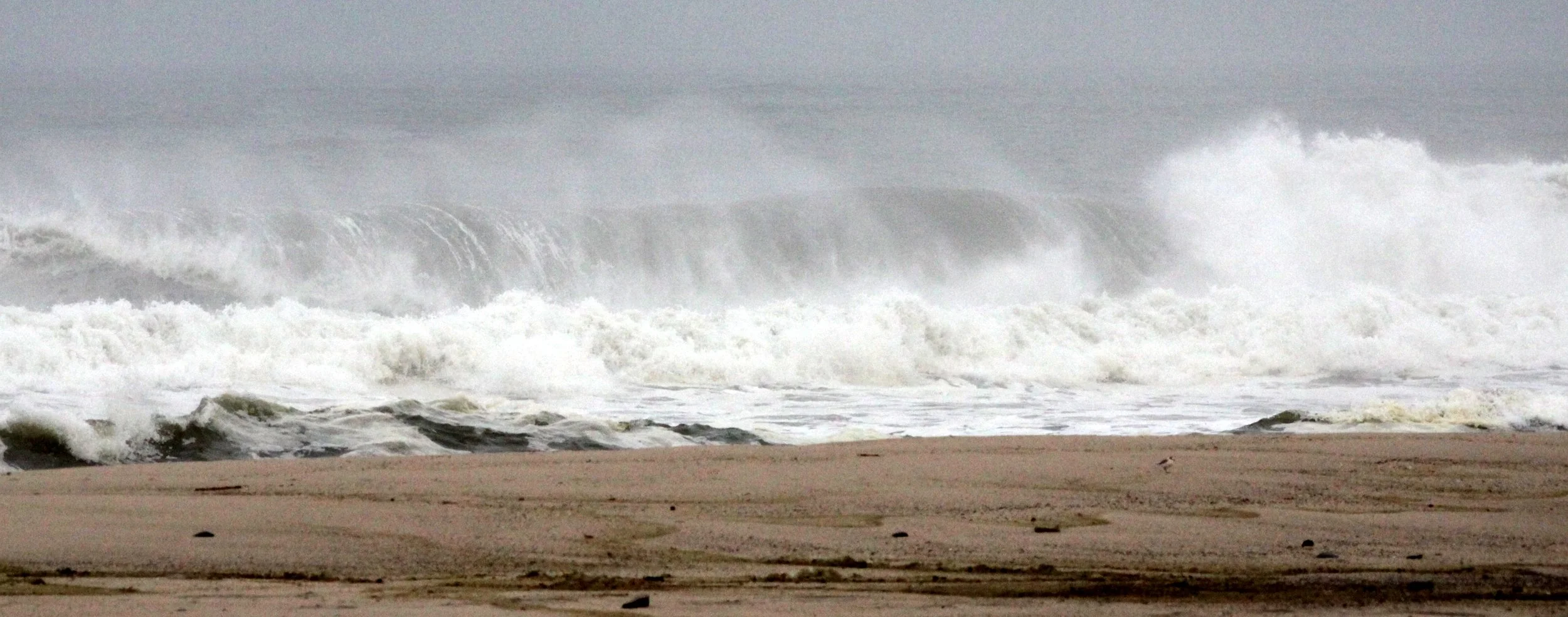 NAMIBIA - SKELETON COAST NATIONAL PARK - SCENERY (9).JPG