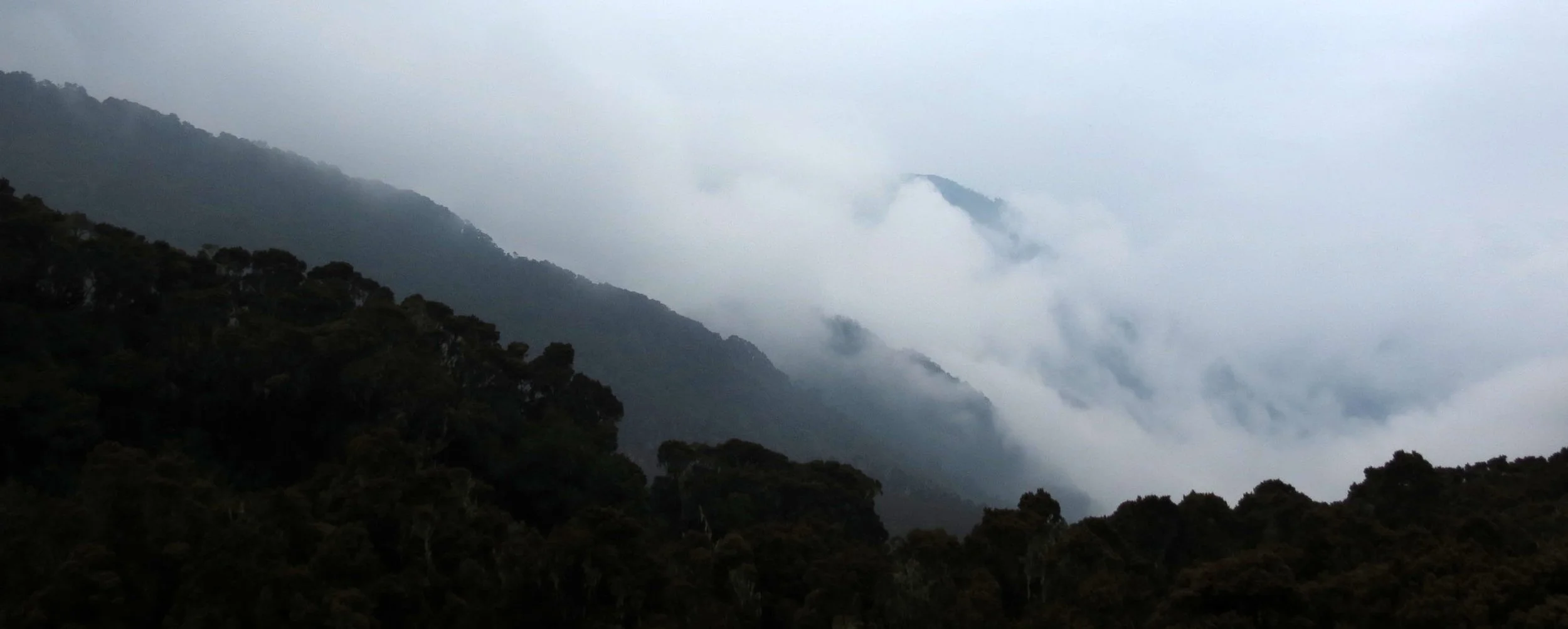 RWENZORI NATIONAL PARK UGANDA (187).JPG