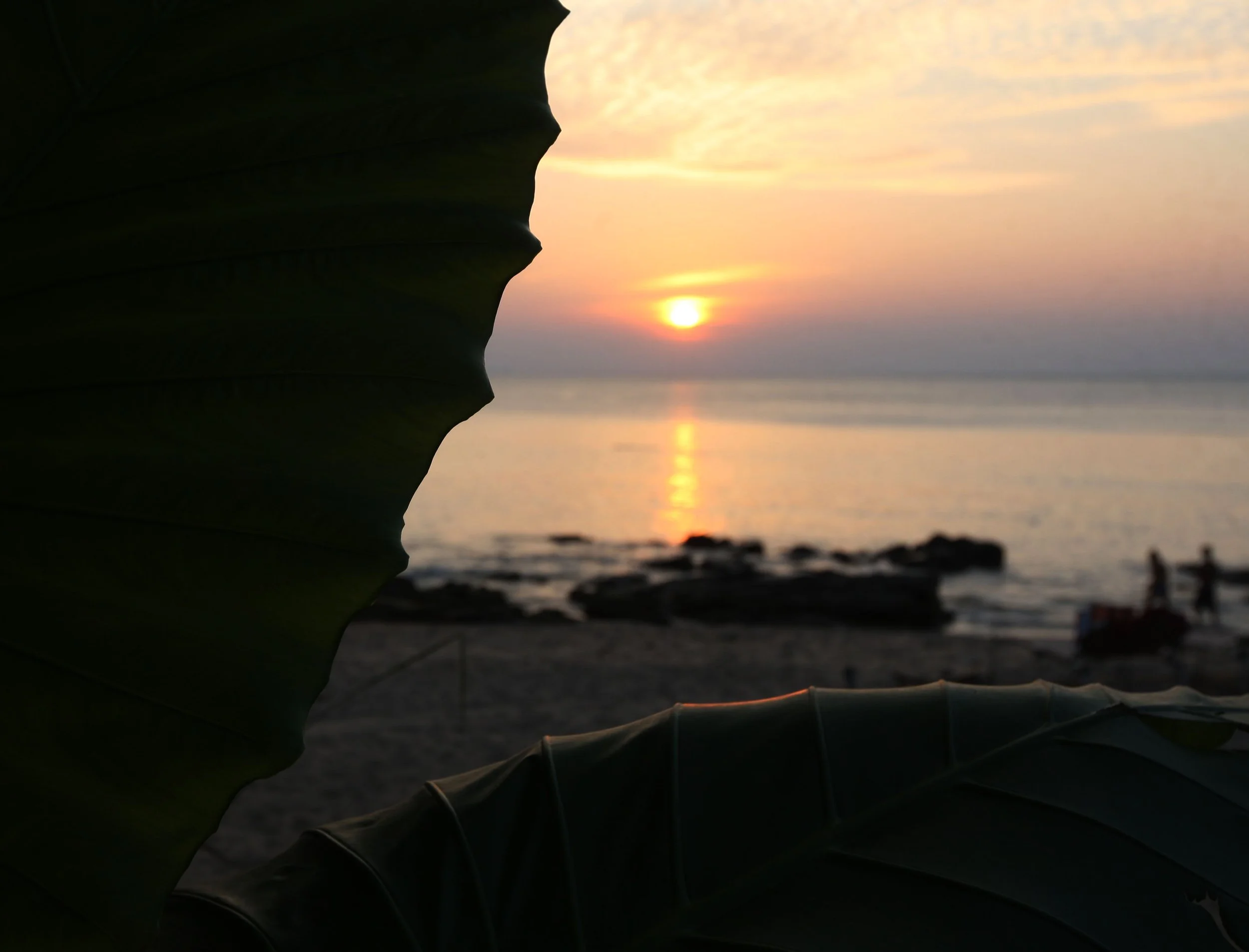 2015 Koh Lanta Build and Fun (120).JPG