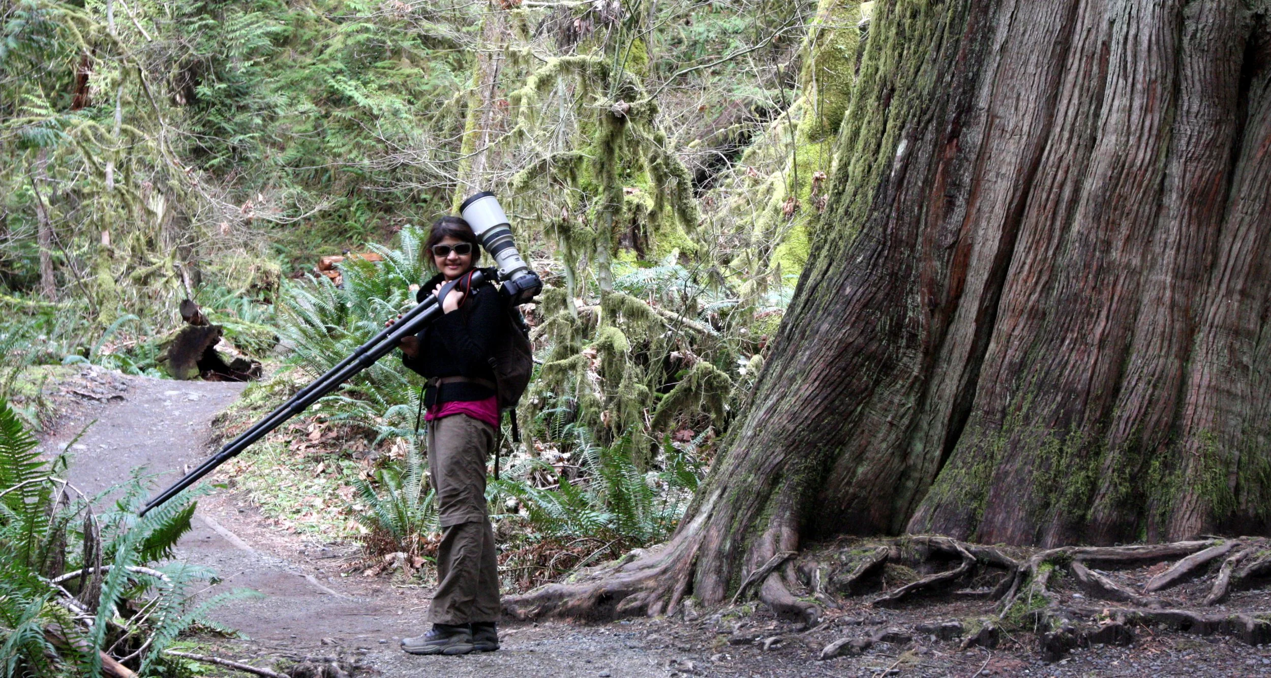 2010-3-20 DAY AT MARYMERE FALLS AND LAKE CRESCENT (6).JPG