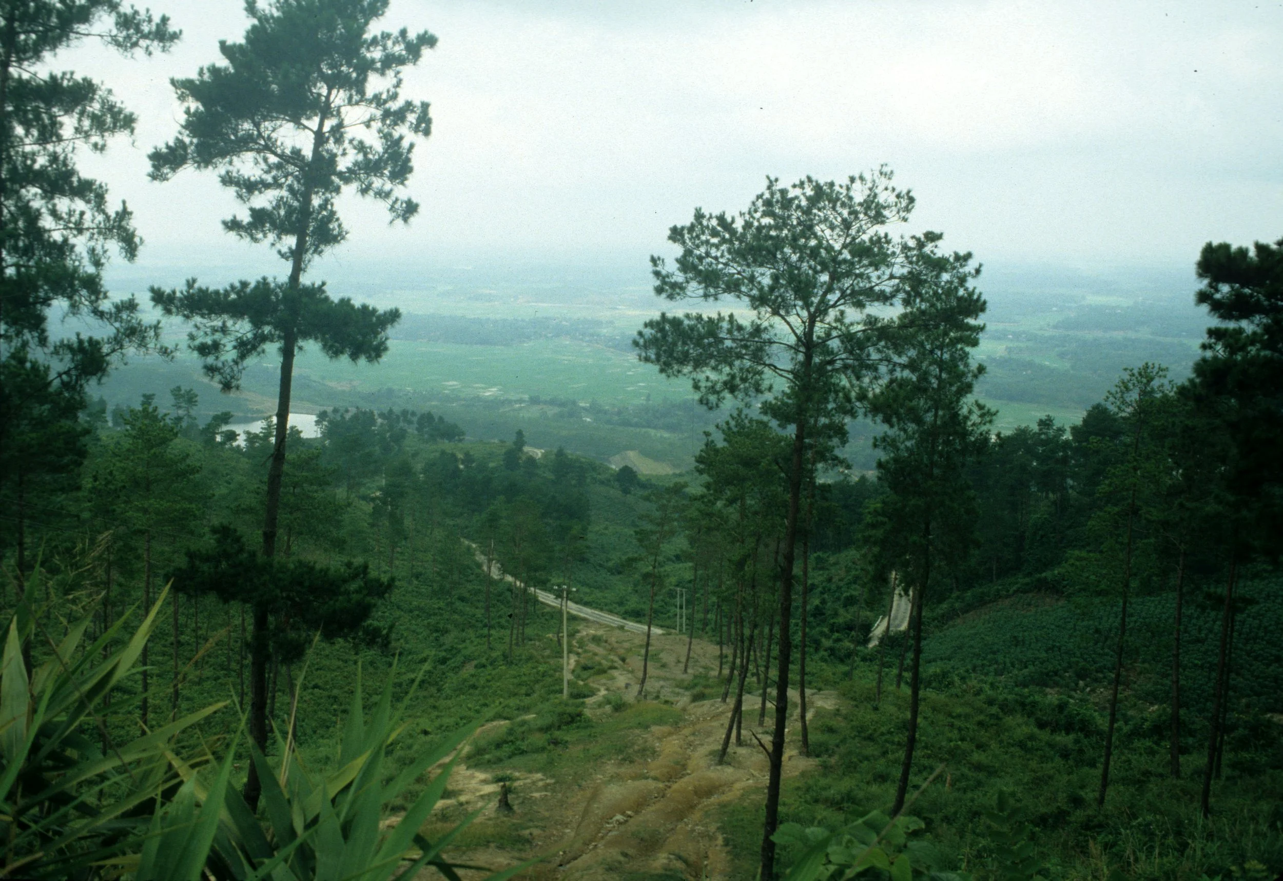 CENTRAL HIGHLANDS - VIEW FROM.jpg