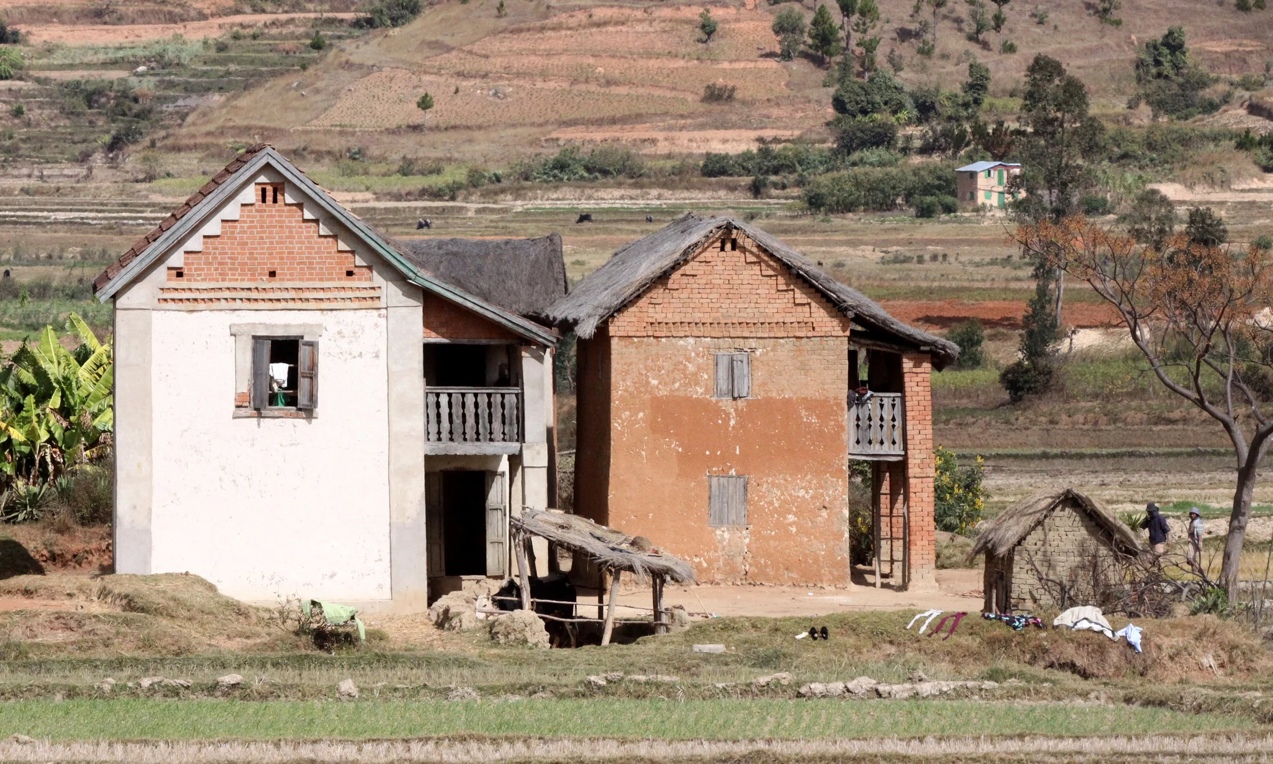 CENTRAL HIGHLANDS - ROAD TO RANOMAFANA (60).JPG