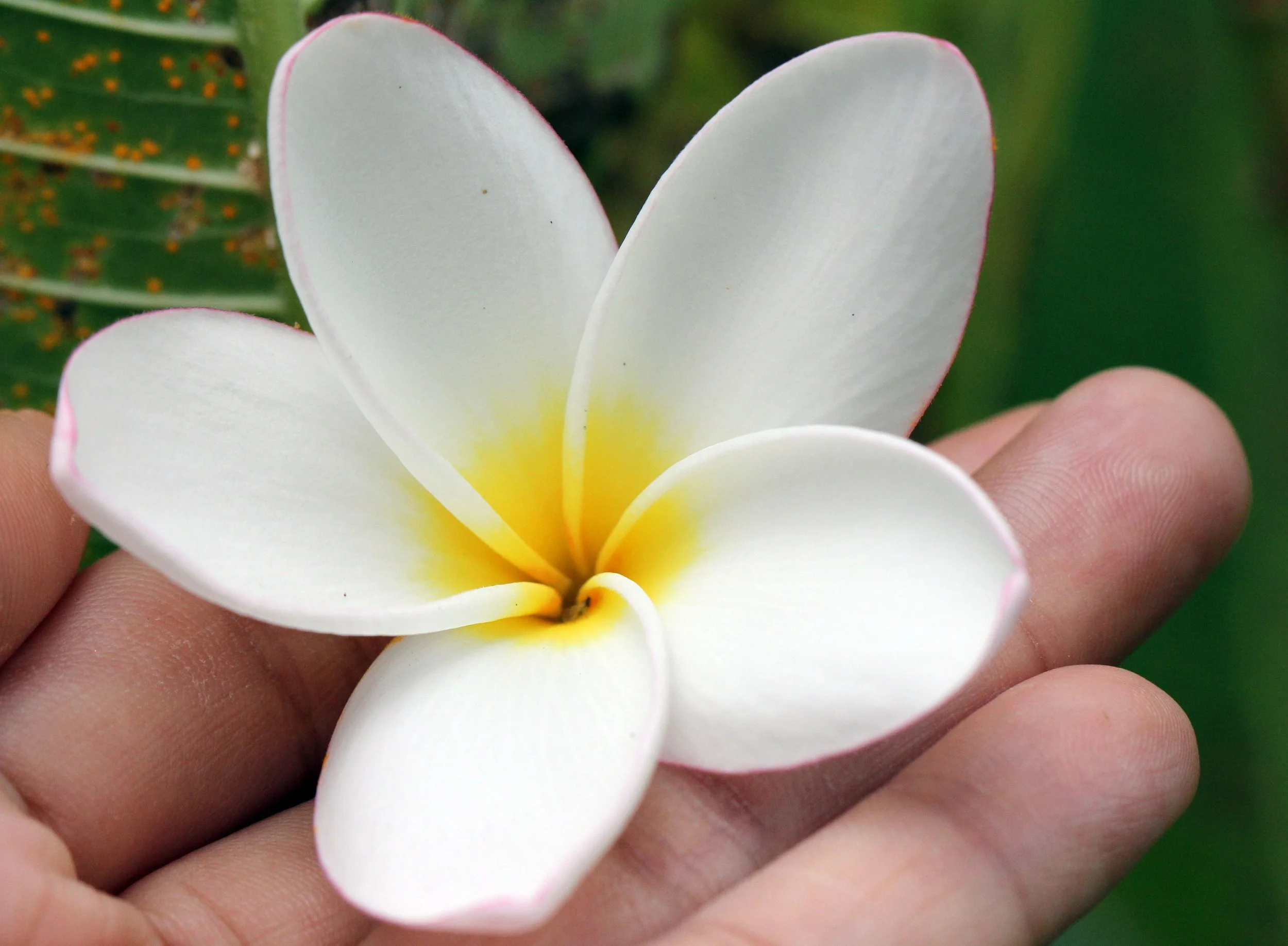 2013 Cha'am and Petchaburi with Family & Friends (32).JPG