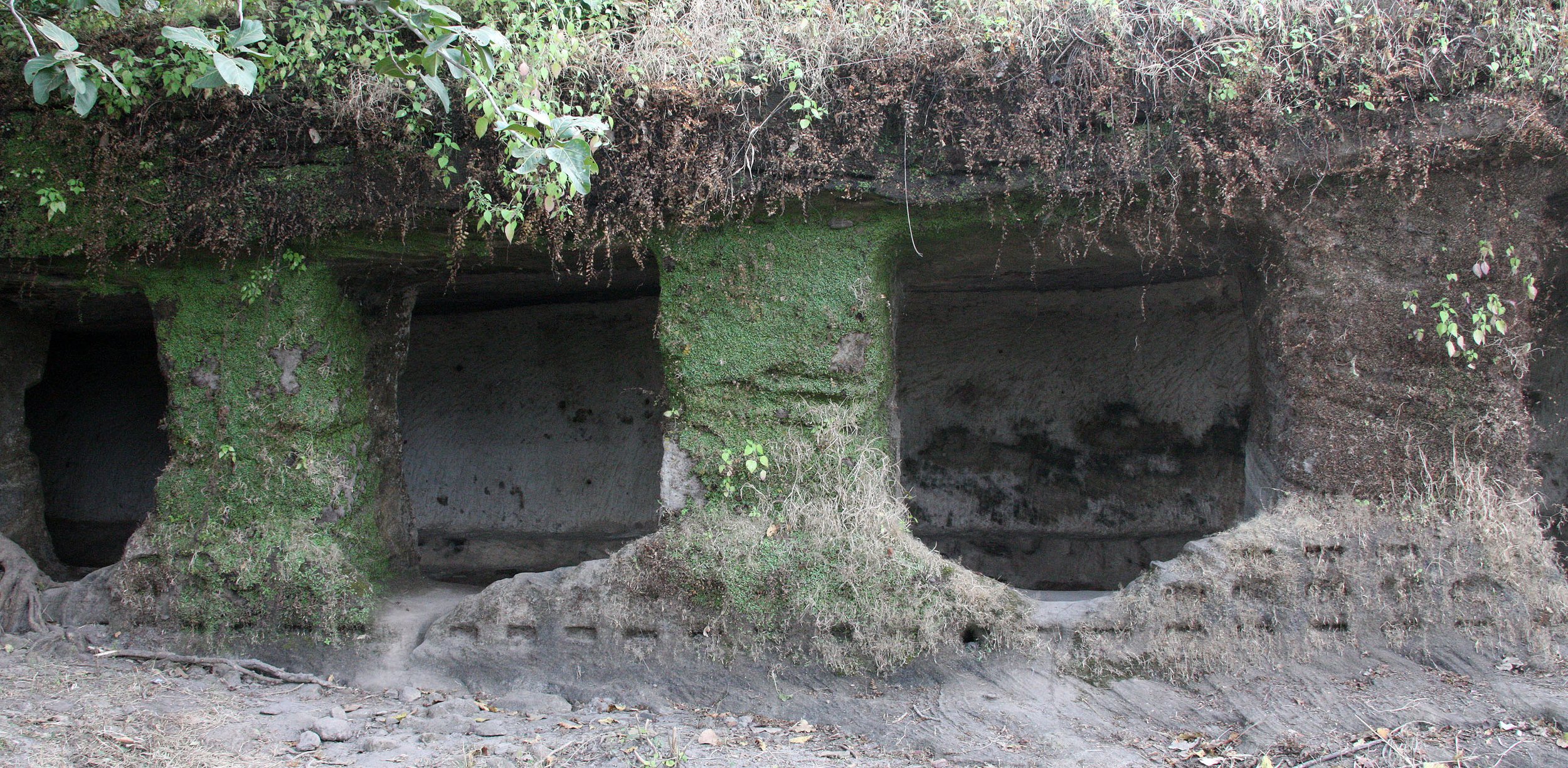 MADHYA PRADESH - BANDHAVGAR NATIONAL PARK MADHYA PRADESH INDIA (16).JPG