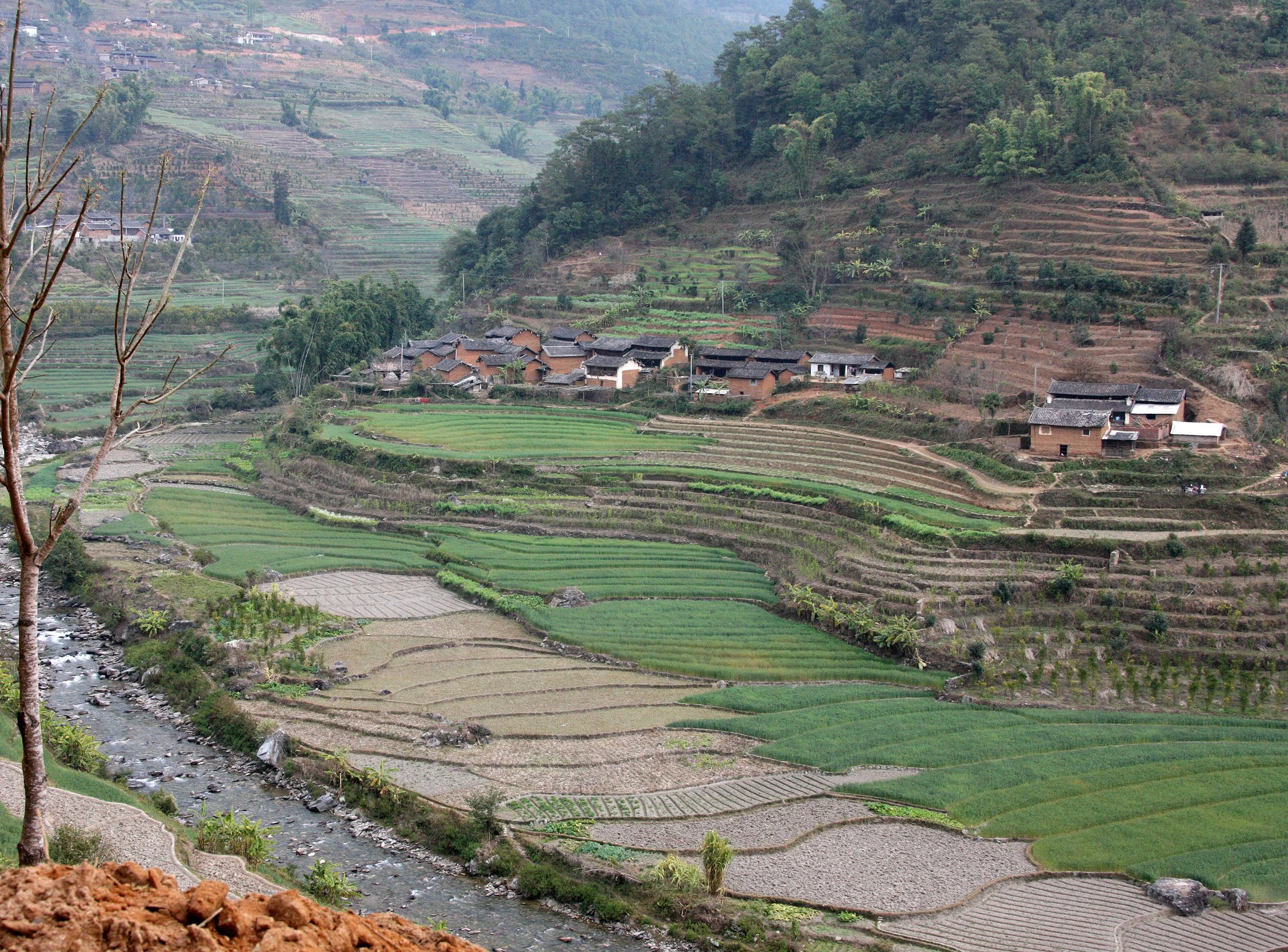 YUNNAN - WULIANGSHAN NATURE RESERVE AND SURROUNDING REGION (31).JPG