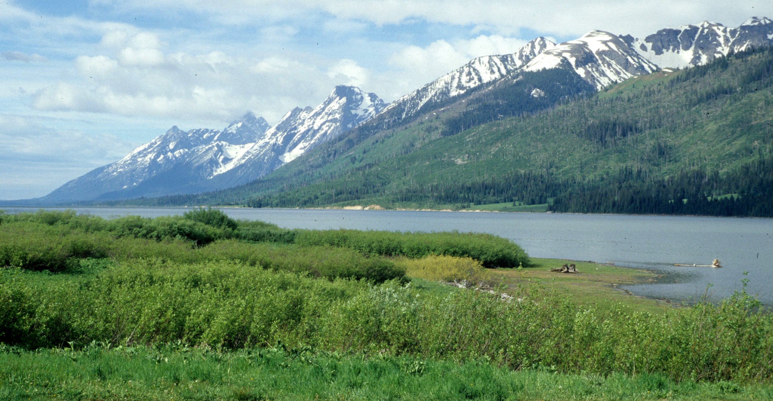 WYOMING - GRAND TETONS A.jpg