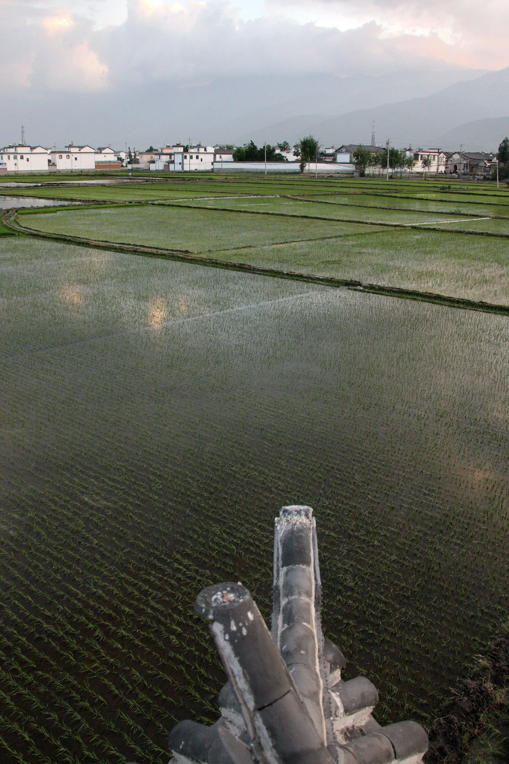 LINDEN CENTER - XIZHOU VILLAGE YUNNAN CHINA (37).JPG