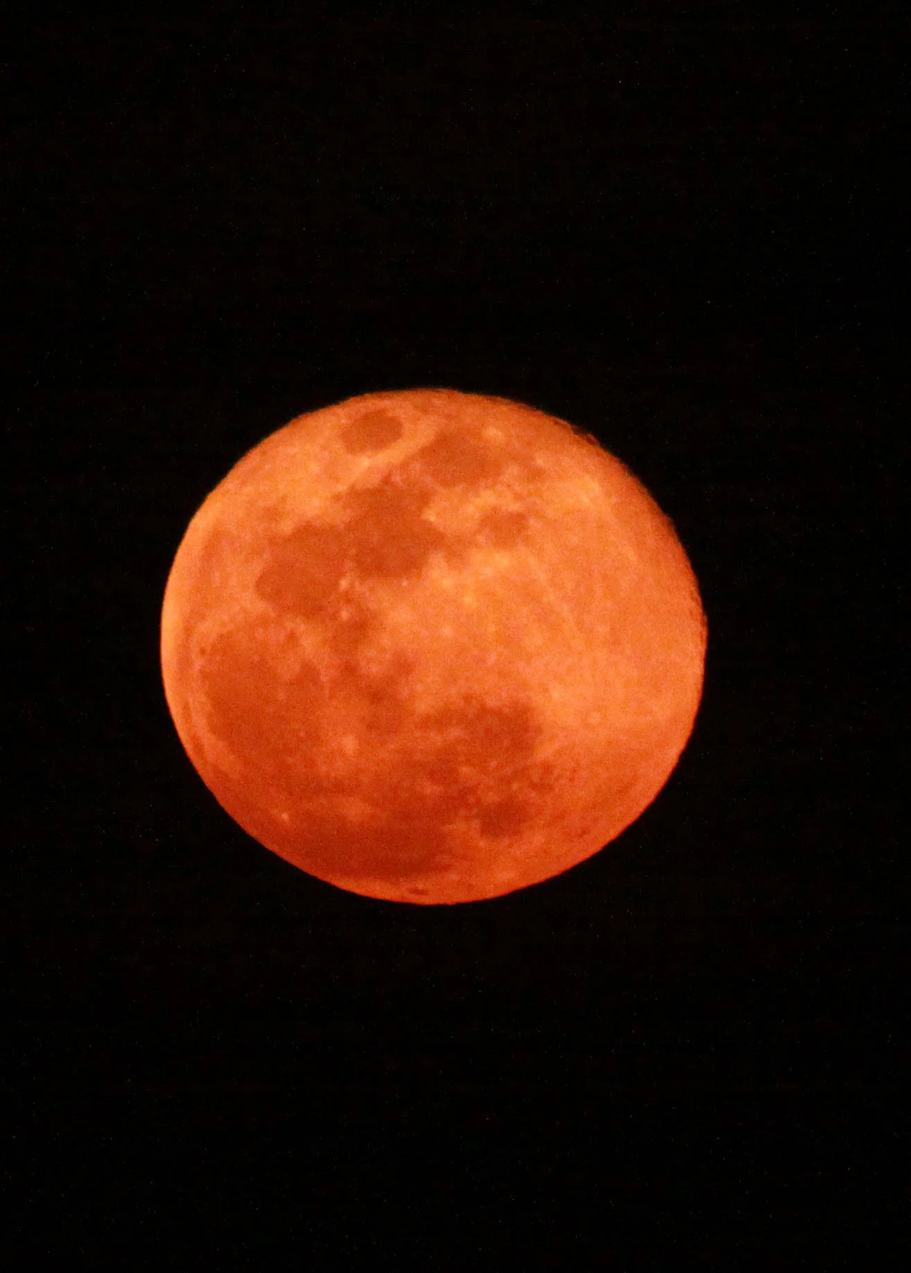 NYUNGWE NATIONAL PARK RWANDA (565).JPG