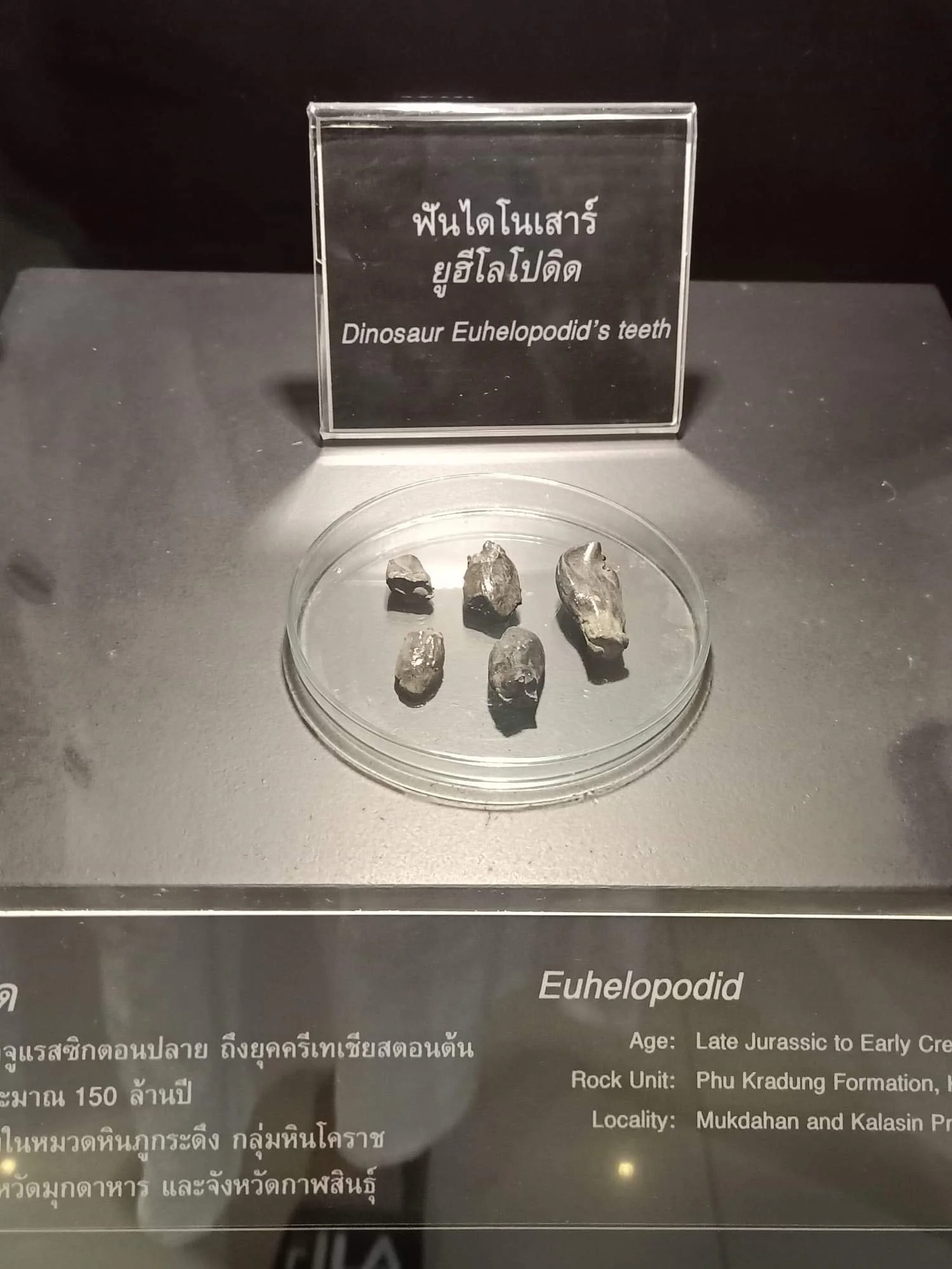 2019-2020 Misc Pictures from Other People - Family, Kanchanaburi, Lanta, Liana and more (160).jpeg
