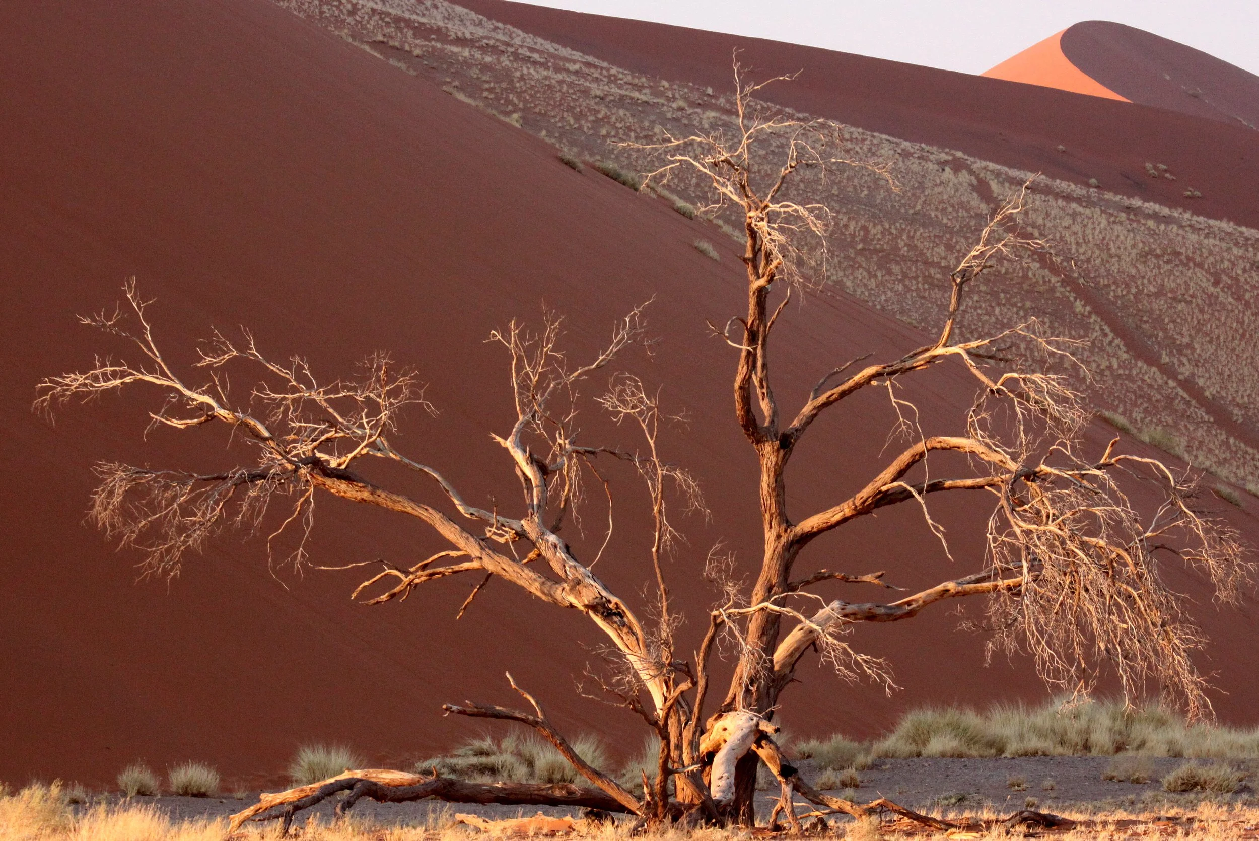 SOSSUSVLEI, NAMIB NAUKLUFT NATIONAL PARK, NAMIBIA - SESREIM VIEWS (9).JPG