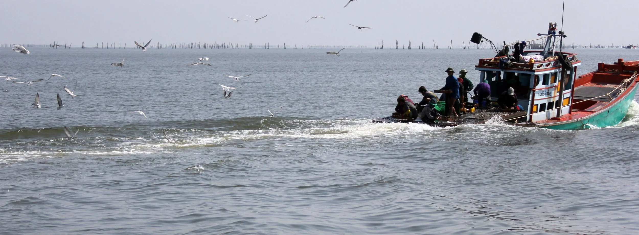 2014 Amphawa Trip to See Whales from Baan Taboon (132).JPG