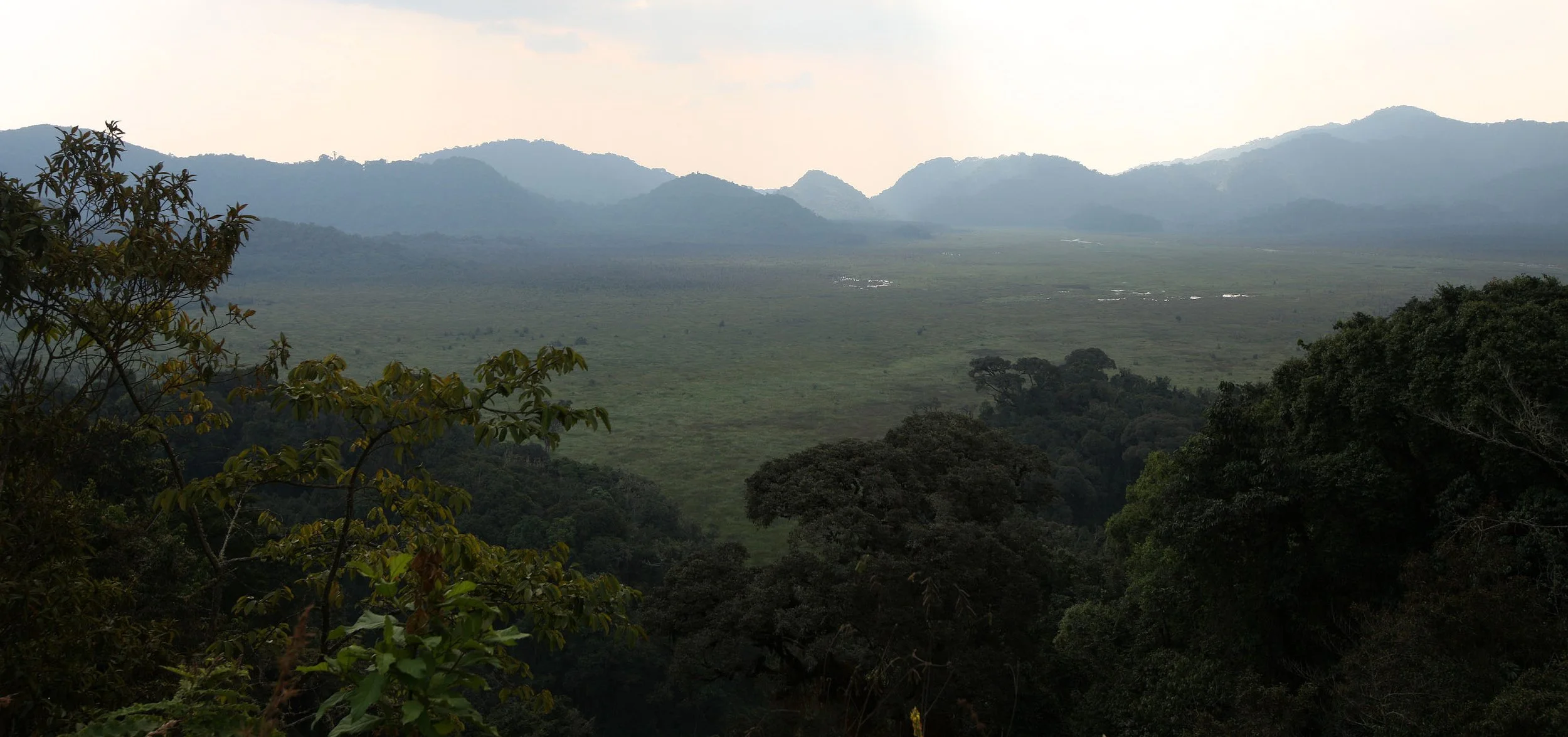 NYUNGWE NATIONAL PARK RWANDA 2 (42).JPG