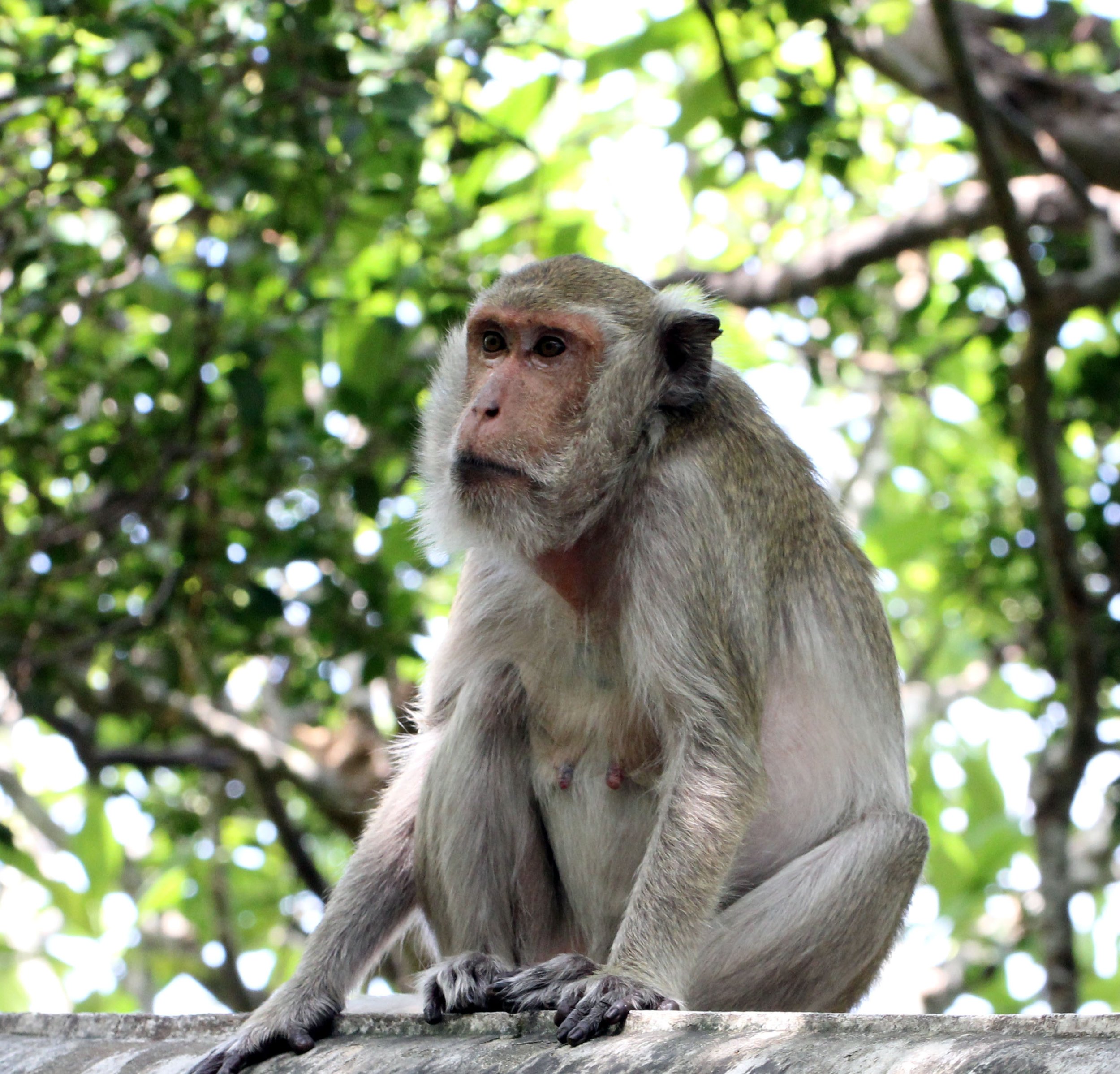 2013 Cha'am and Petchaburi with Family & Friends (155).JPG