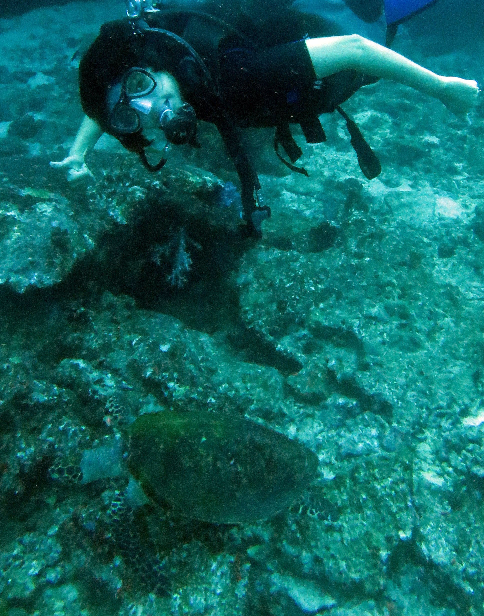 2016 Similans Trip with ISB GCW (38).JPG