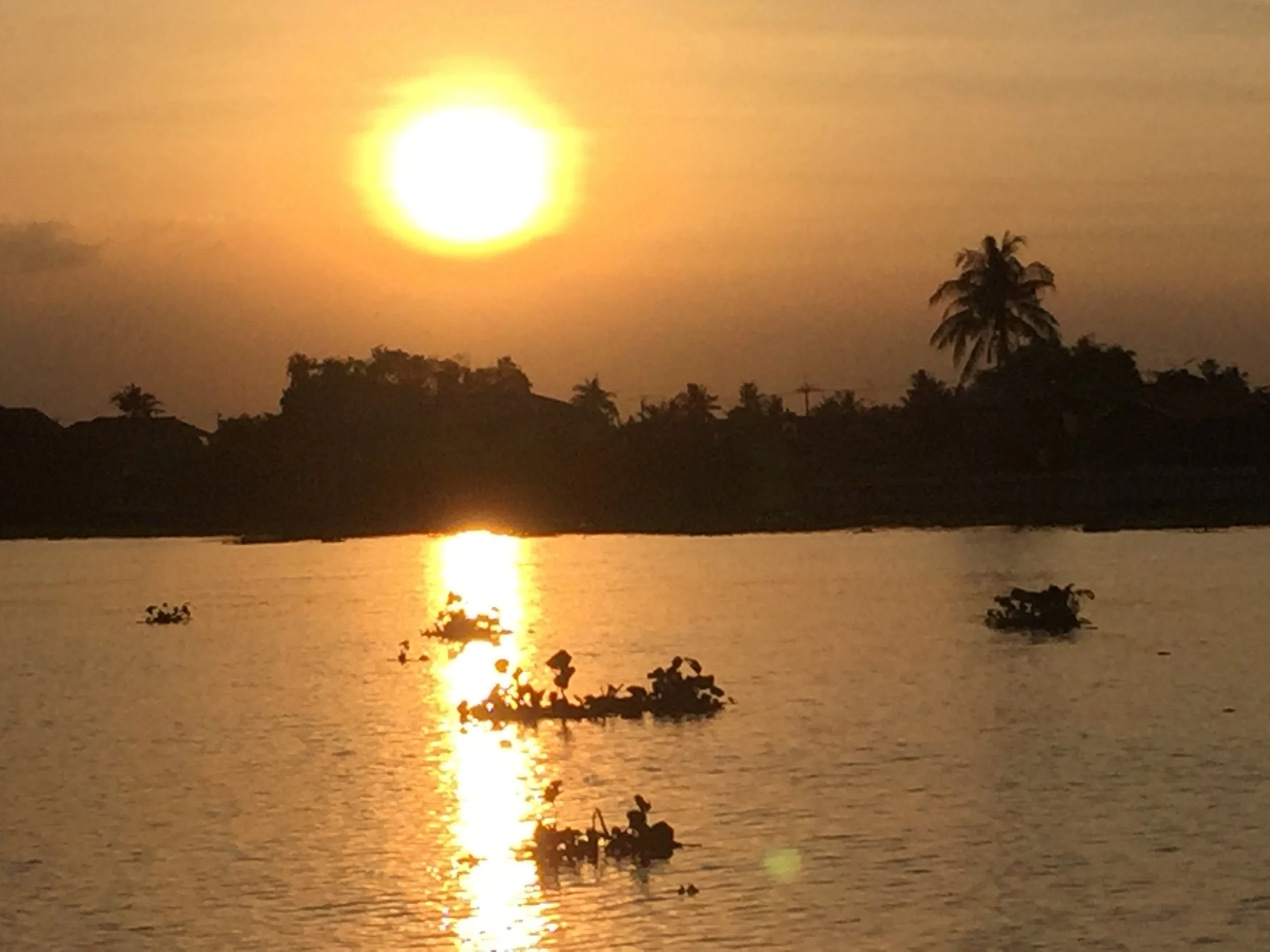 BKK - SCIENCE DEPARTMENT PARTY FALL 2015 ISB (16).JPG