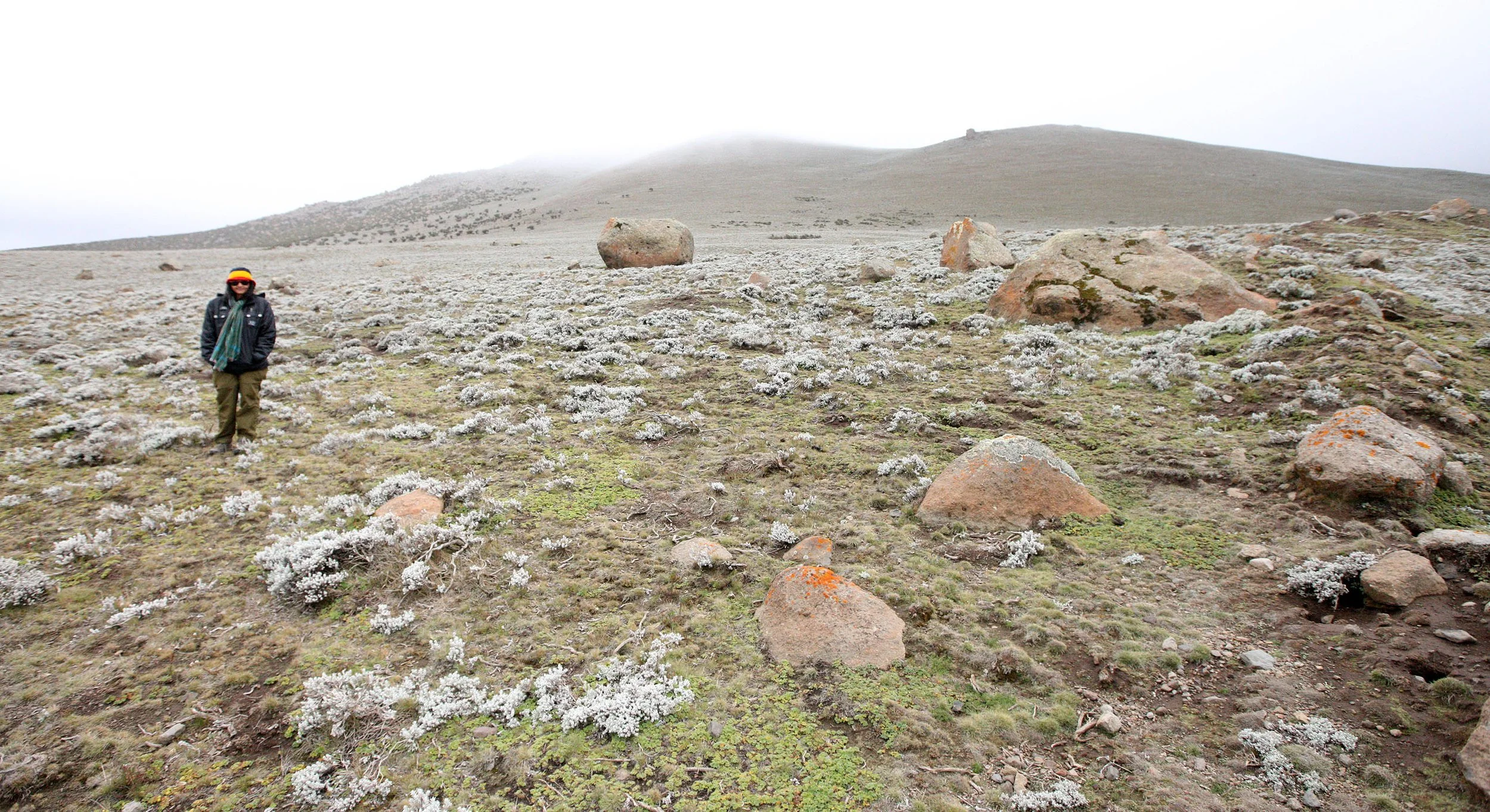 BALE MOUNTAINS NATIONAL PARK ETHIOPIA - SANETTI PLATEAU (11).JPG