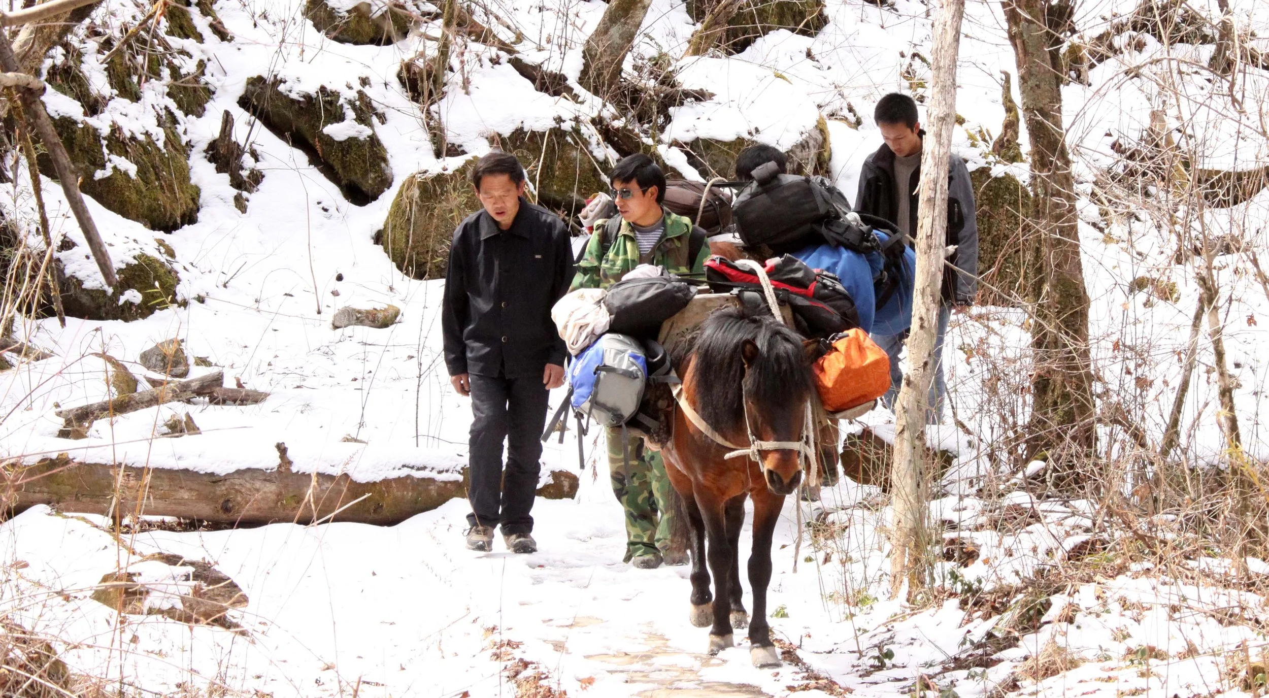 FOPING NATURE RESERVE - SHAANXI PROVINCE CHINA (263).JPG