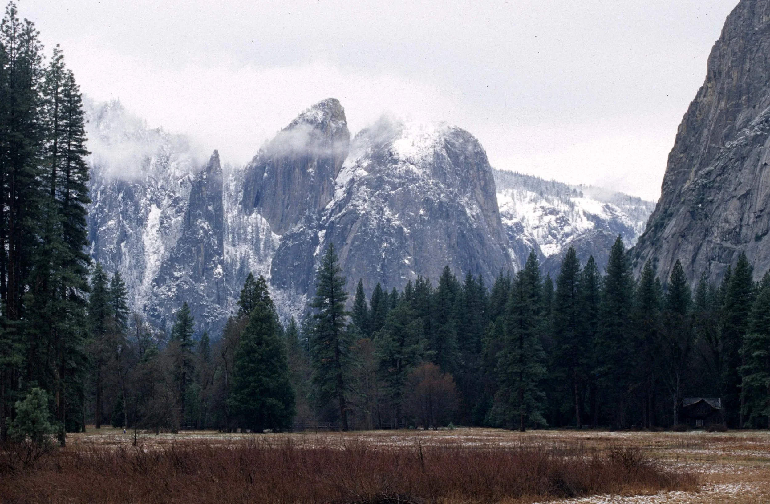 CALIFORNIA - YOSEMITE NATIONAL PARK (13).jpg