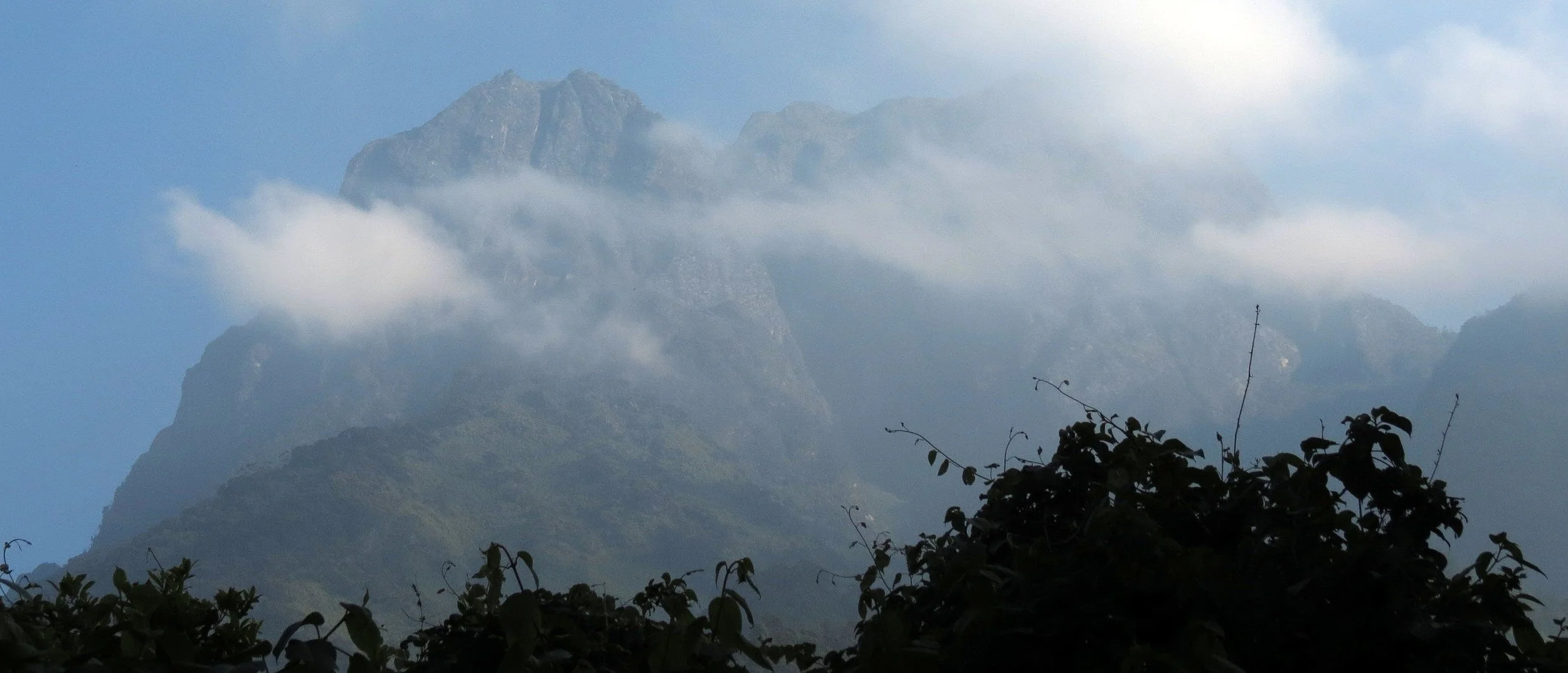 RWENZORI NATIONAL PARK UGANDA (71).JPG