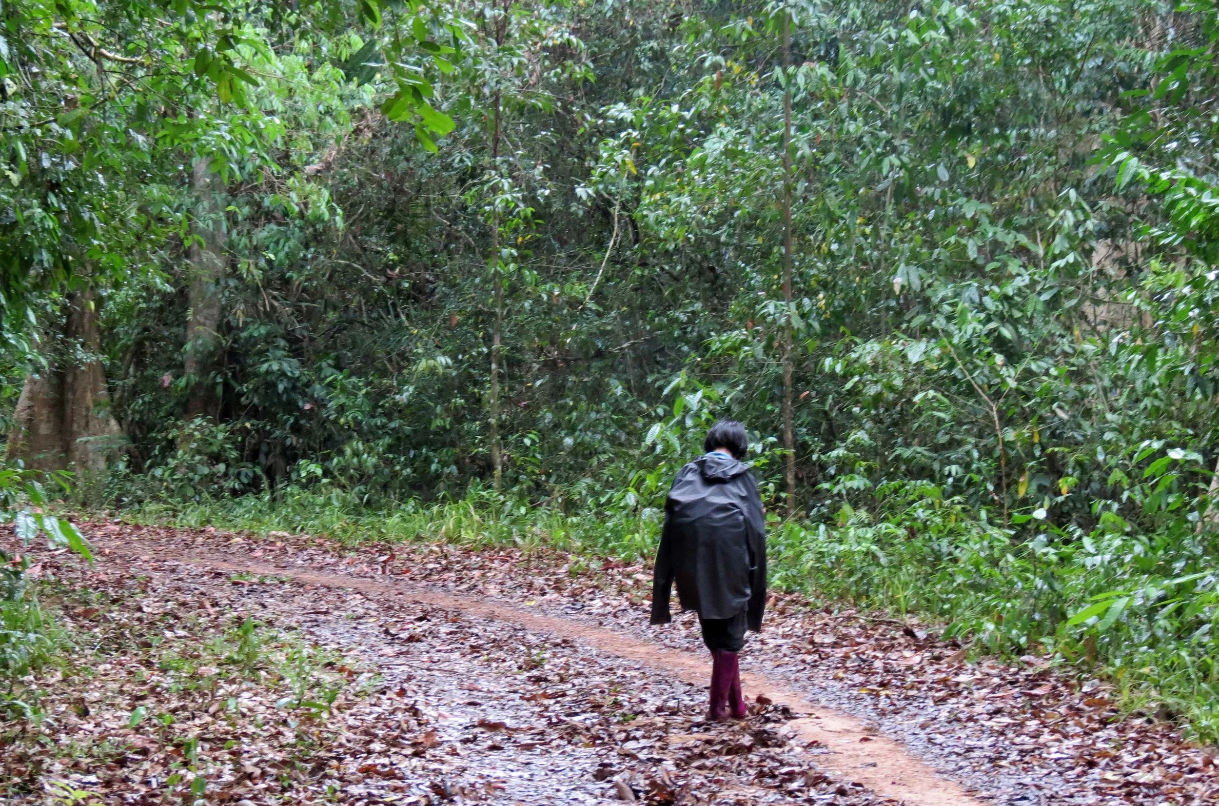 CAT TIEN NATIONAL PARK VIET NAM (100).JPG