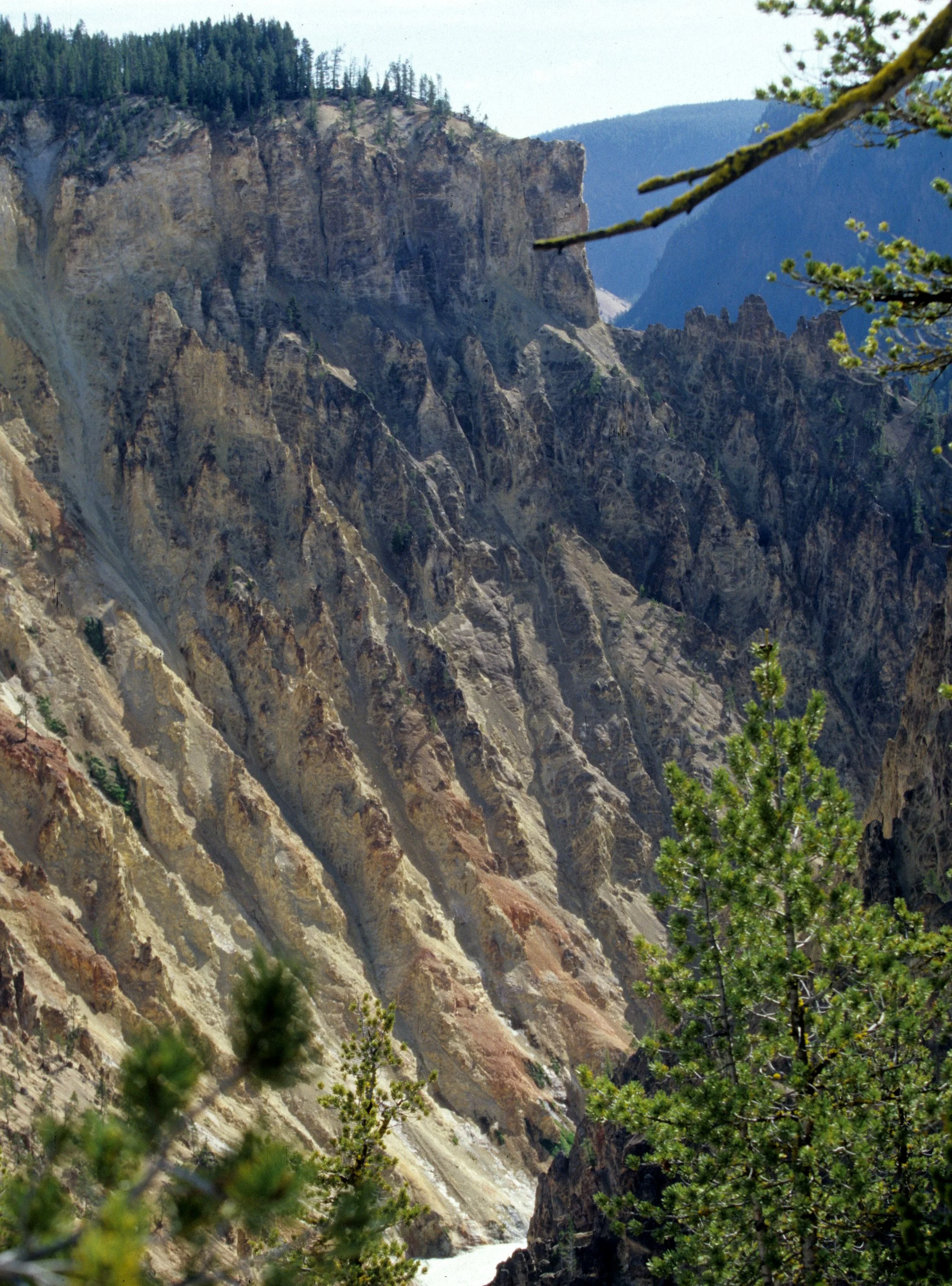 YELLOWSTONE - CANYON VIEW B.jpg