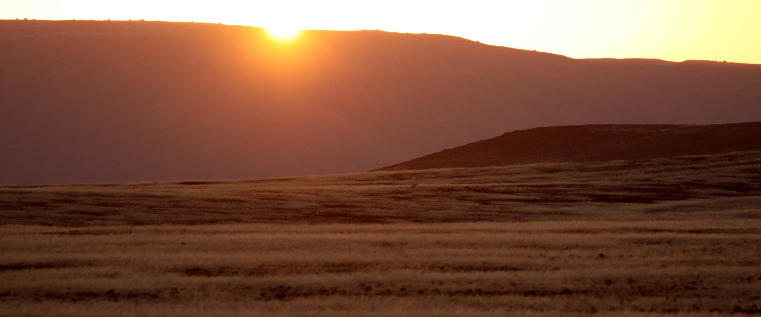 NAMIBIA - SKELETON COAST NATIONAL PARK - EAST ENTRANCE (9).JPG
