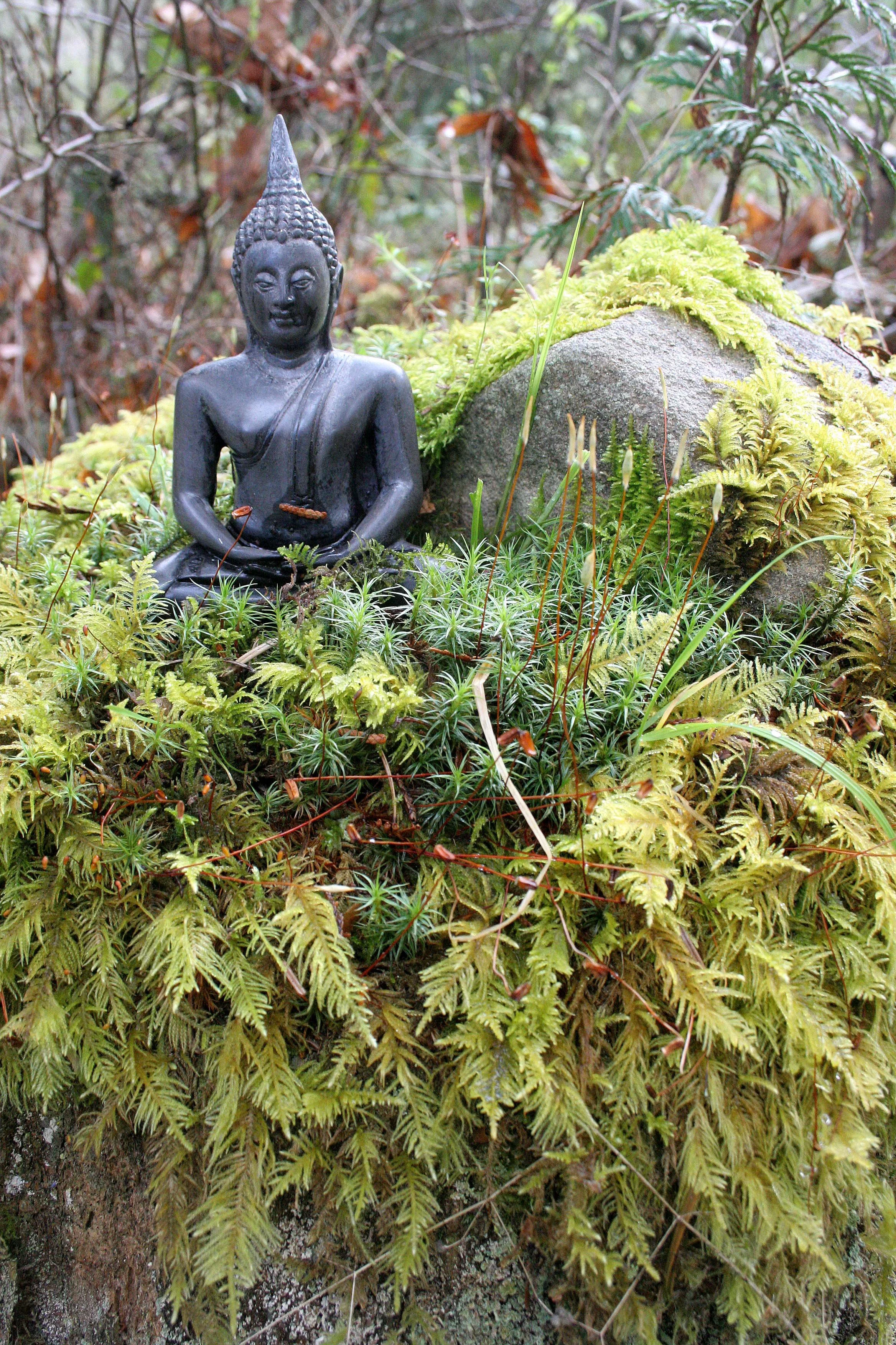 2008-4-19 LAKE FARM TRAILS WALK (29).JPG