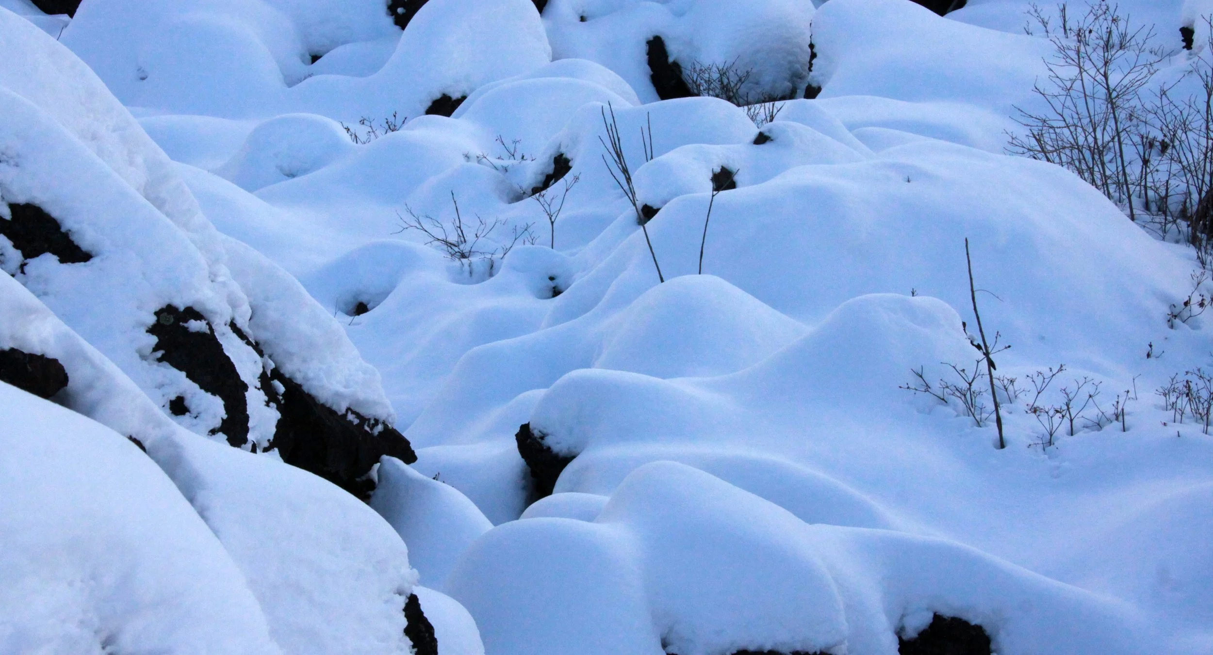MOUNT ASAMA - JOSHIN'ETSUKOGEN NATIONAL PARK JAPAN (98).JPG