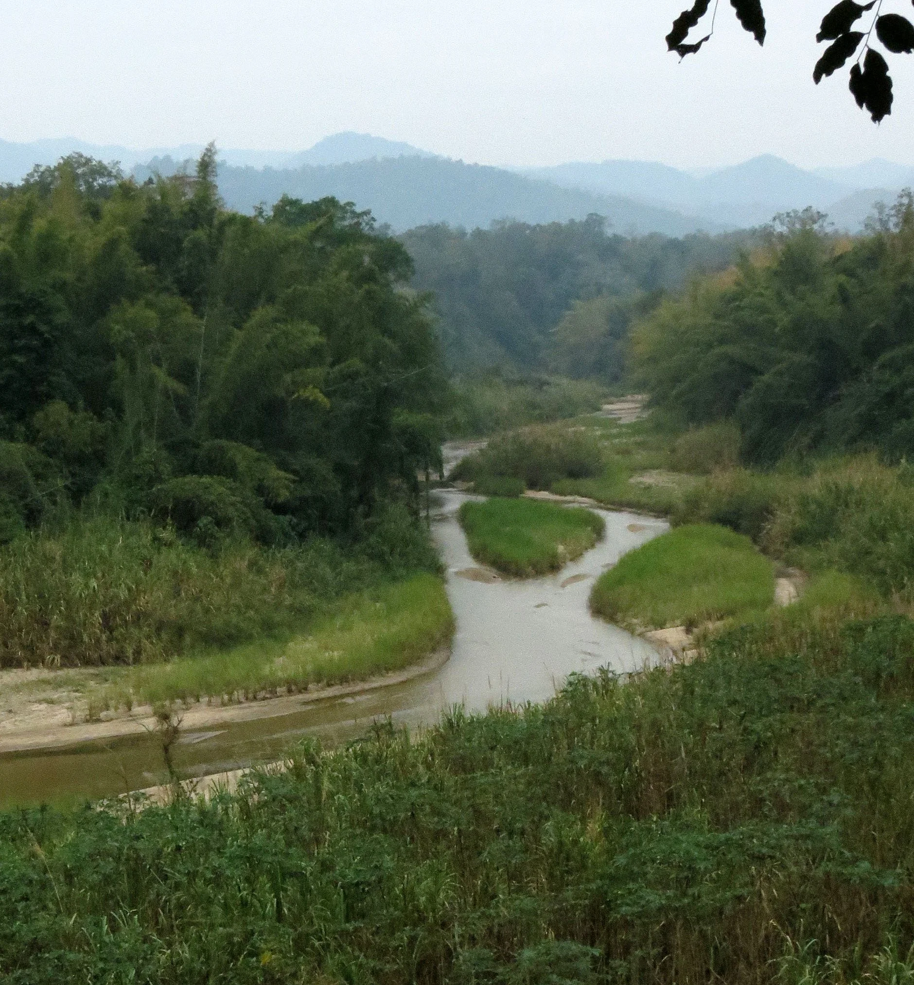 2014 Huai Kha Khaeng Bruce Kekule Trip (31).JPG