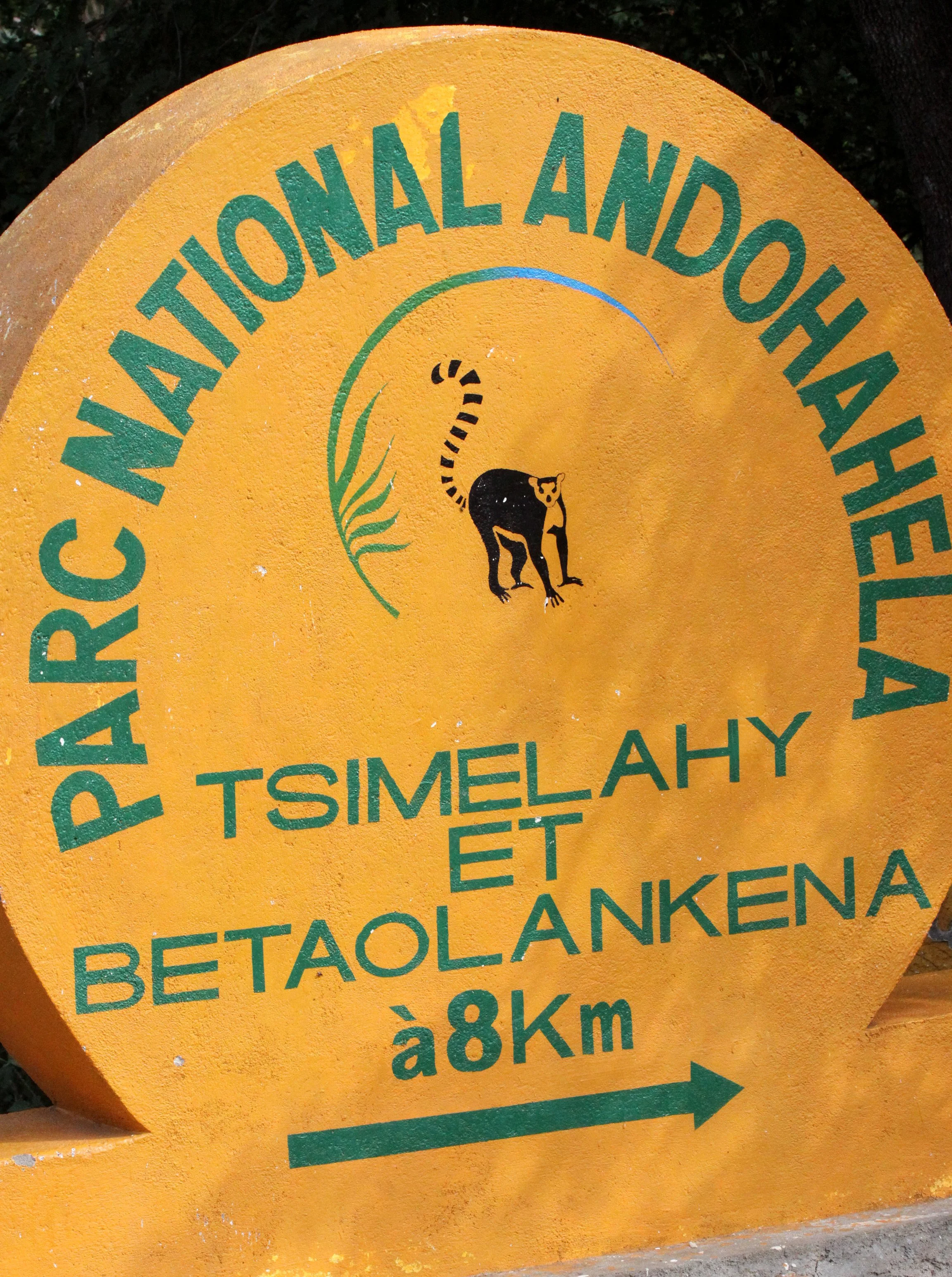 ANDOHAHELA NATIONAL PARK (3).JPG