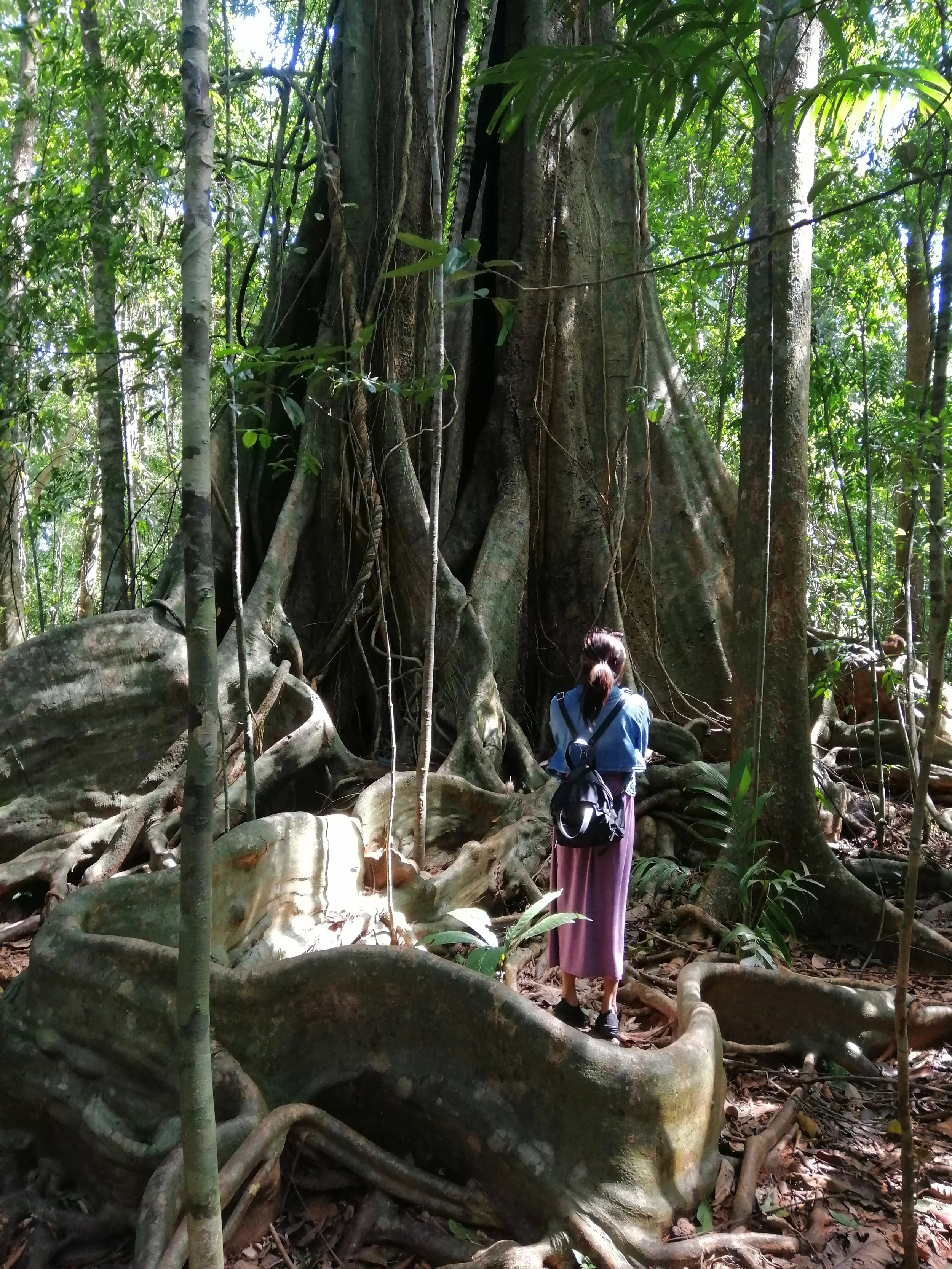 2019 Koh Kood Road Trip (35).jpg