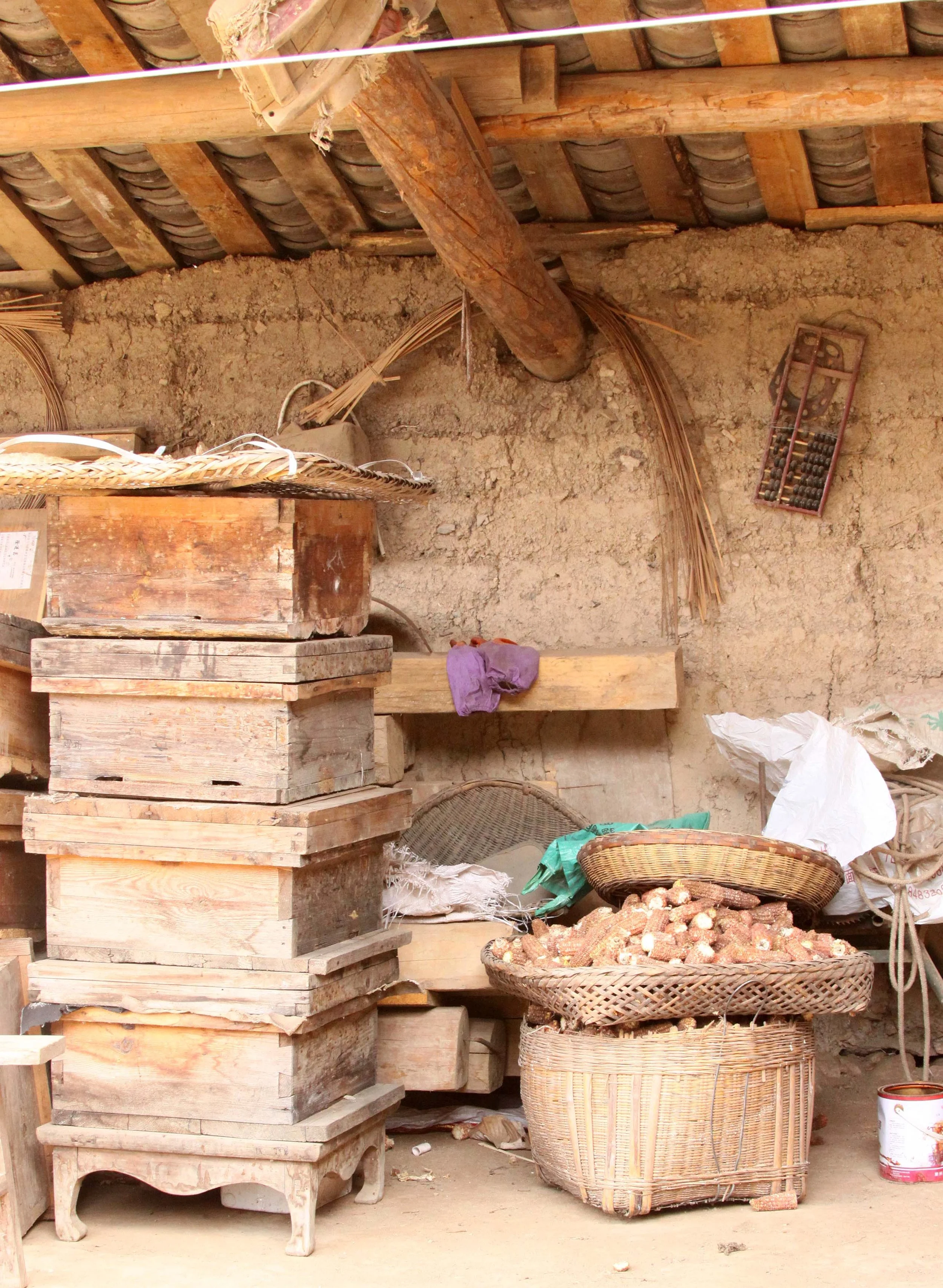 FOPING NATURE RESERVE - SHAANXI PROVINCE CHINA (235).JPG