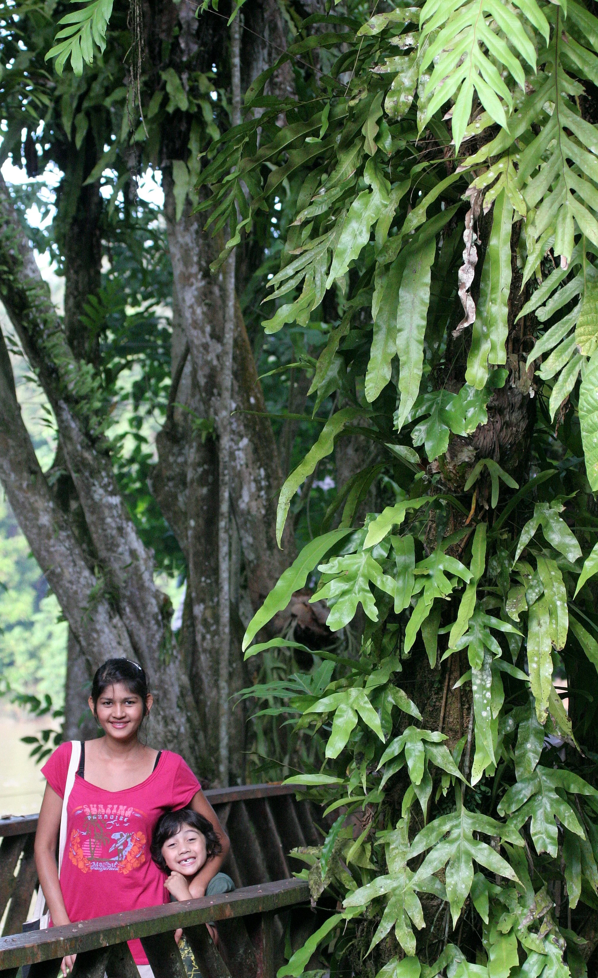 KINABATANGAN RIVER BORNEO - POSSING WITH PLANTS.JPG