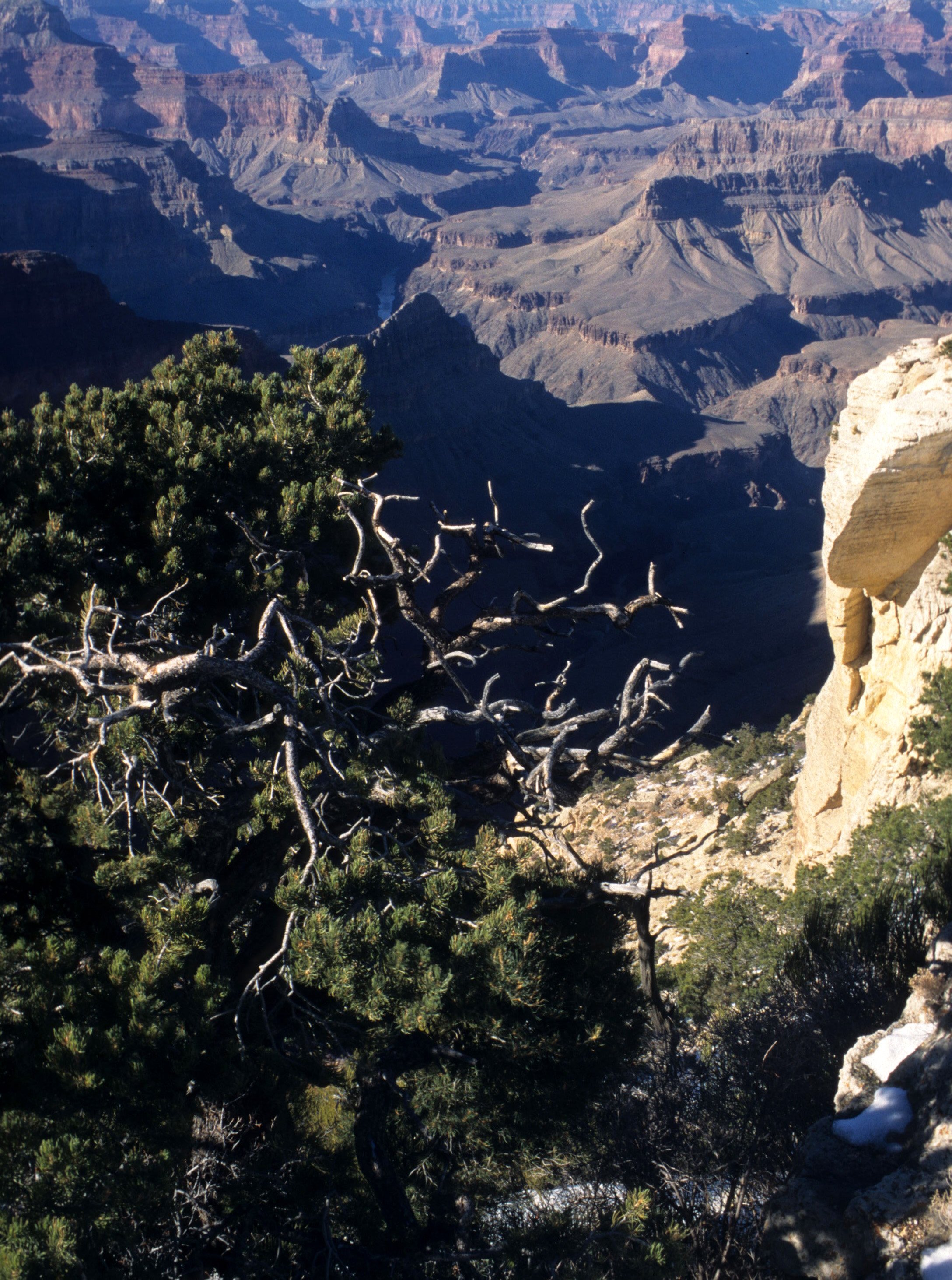 ARIZONA - GRAND CANYON NATIONAL PK (37).jpg