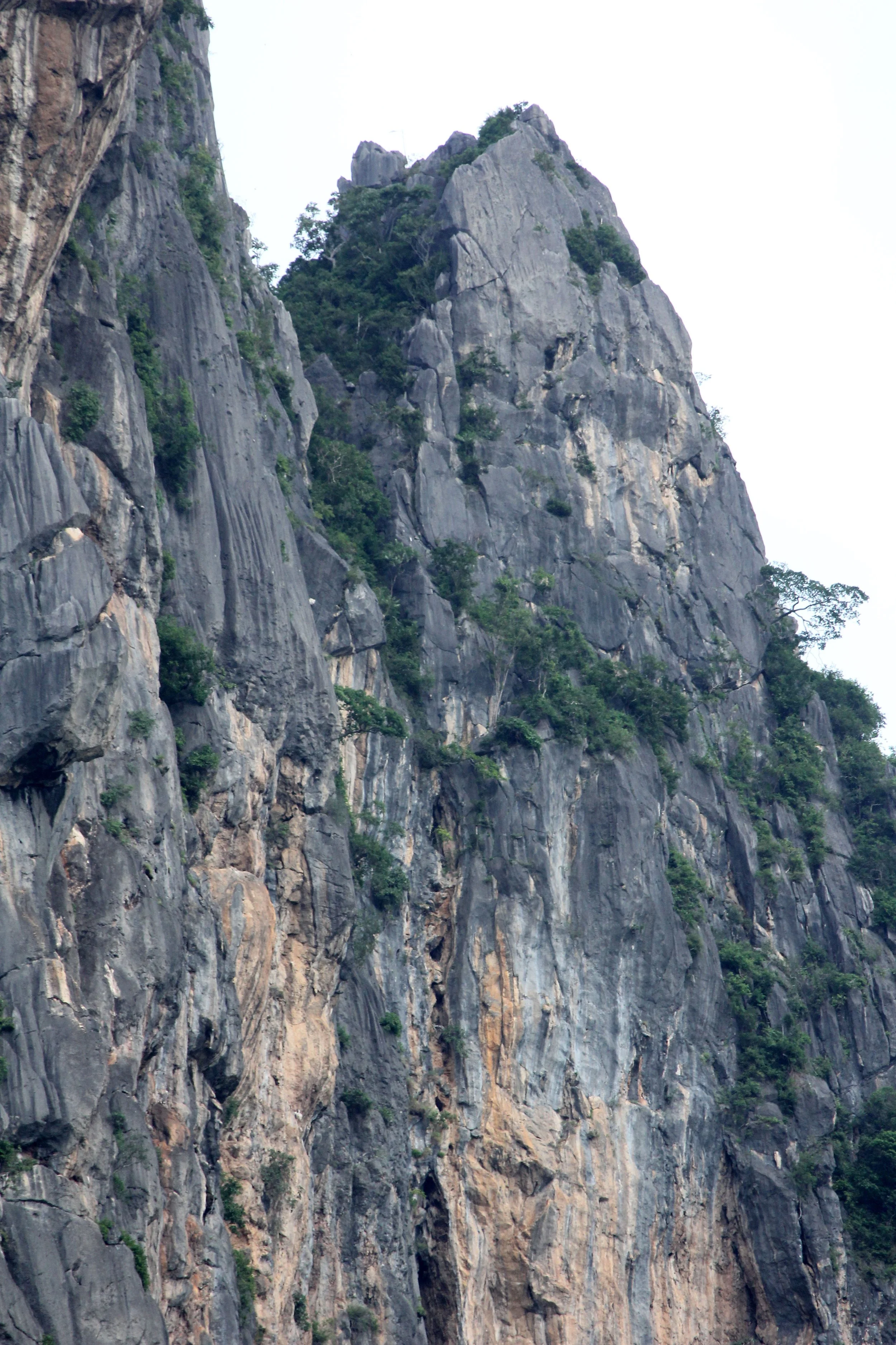 2017 Phu Khieo Wildlife Sanctuary  (26).JPG